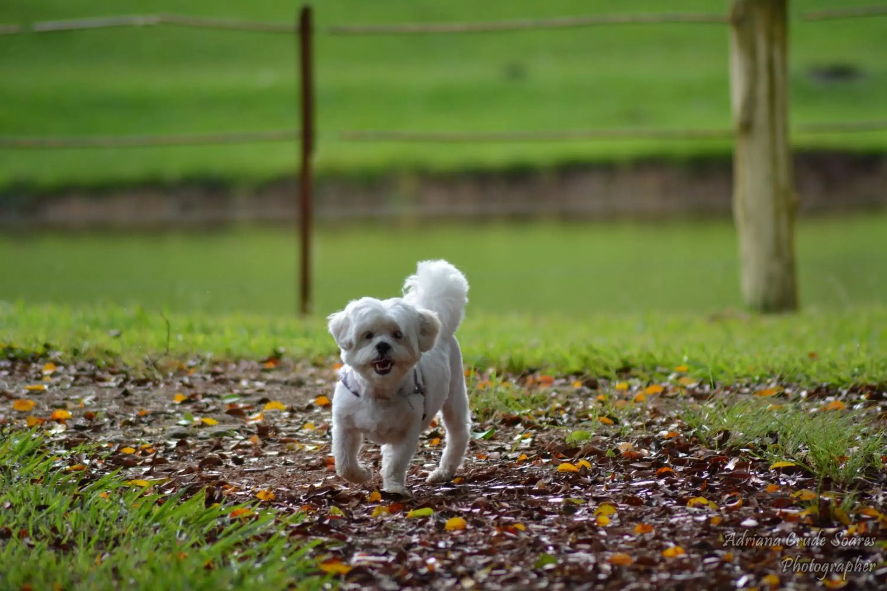Day in Hotel Fazenda Sete Lagos Day in Hotel Fazenda Sete Lagos
