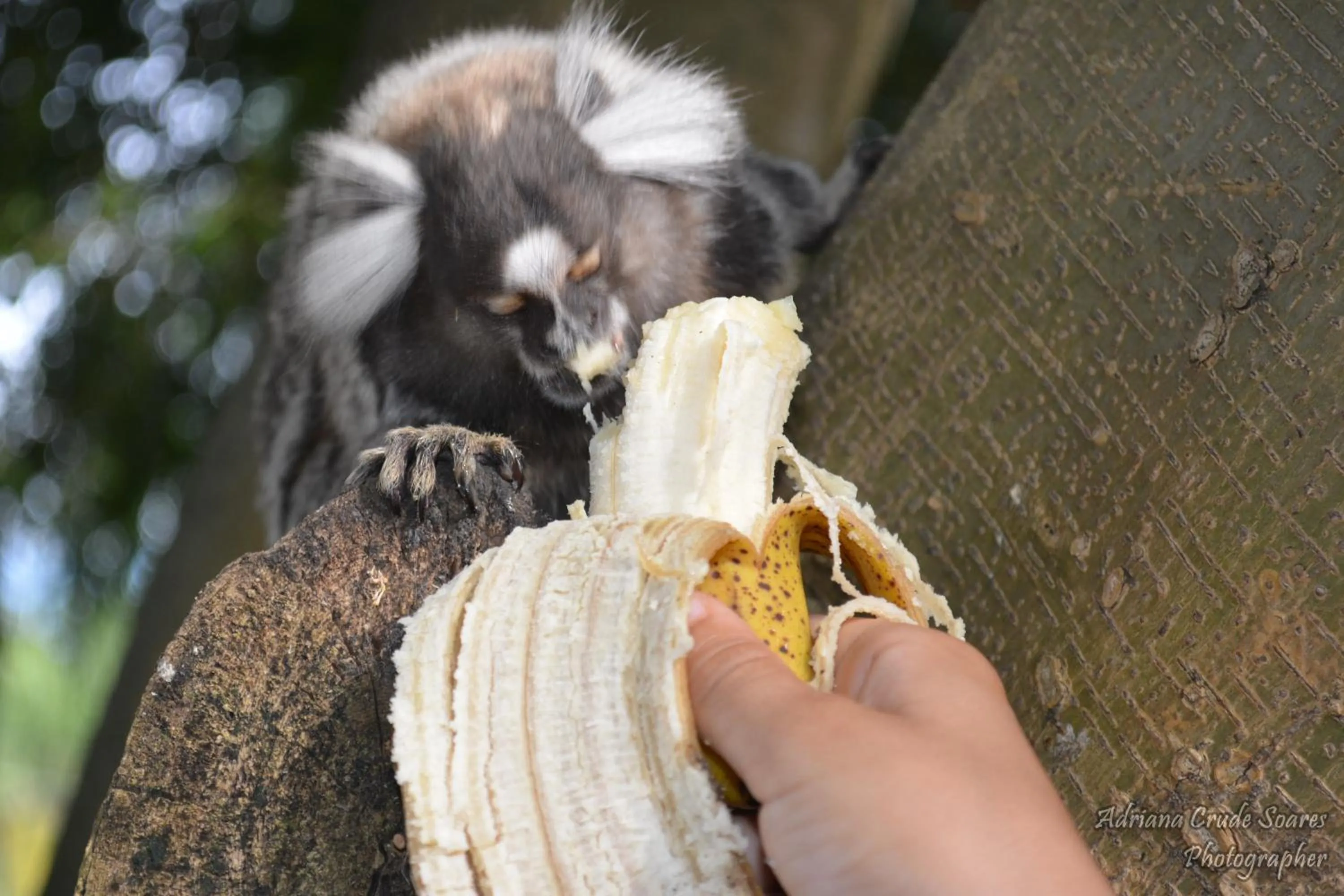 Day in Hotel Fazenda Sete Lagos
