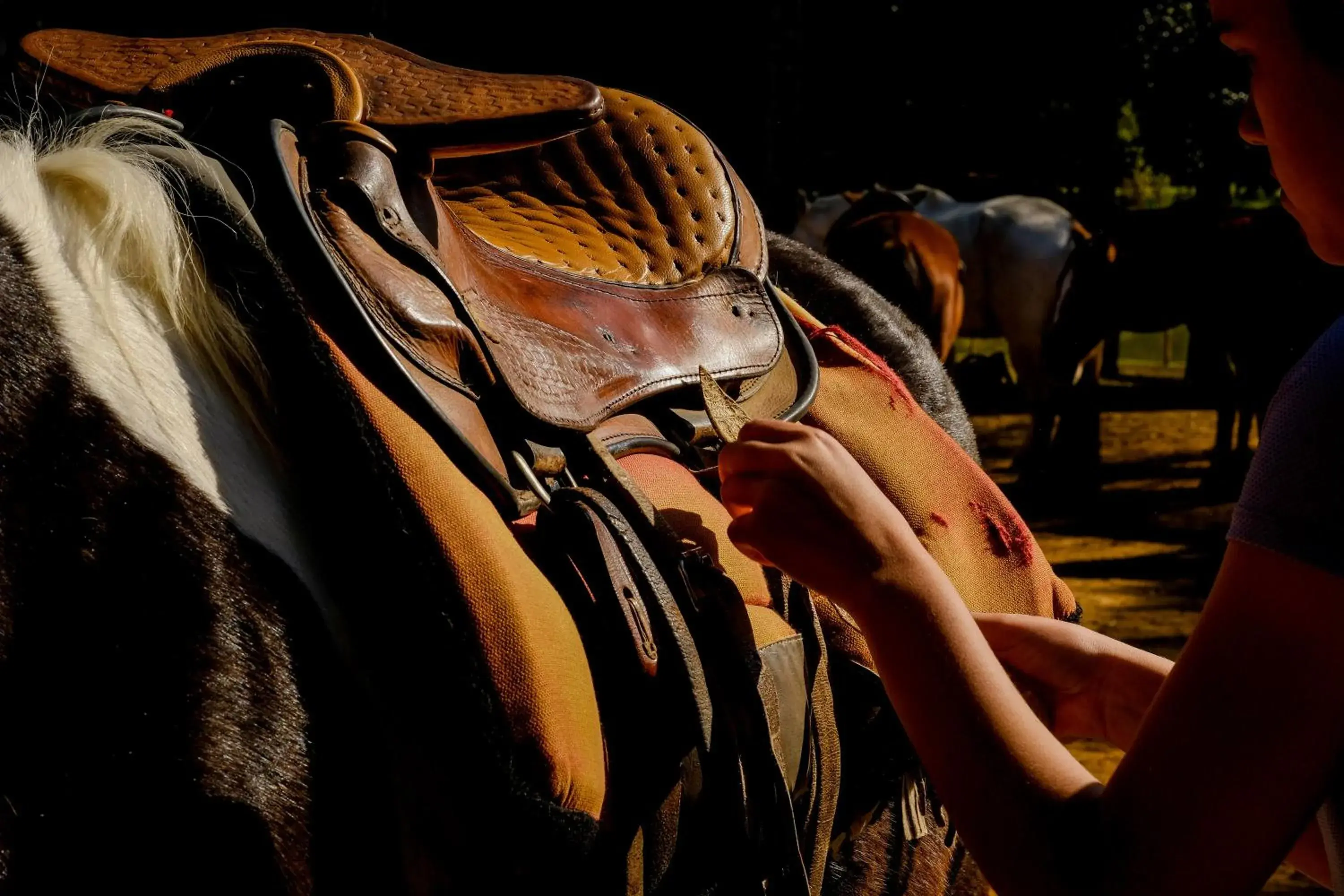 Hotel Fazenda Sete Lagos Hotel Fazenda Sete Lagos