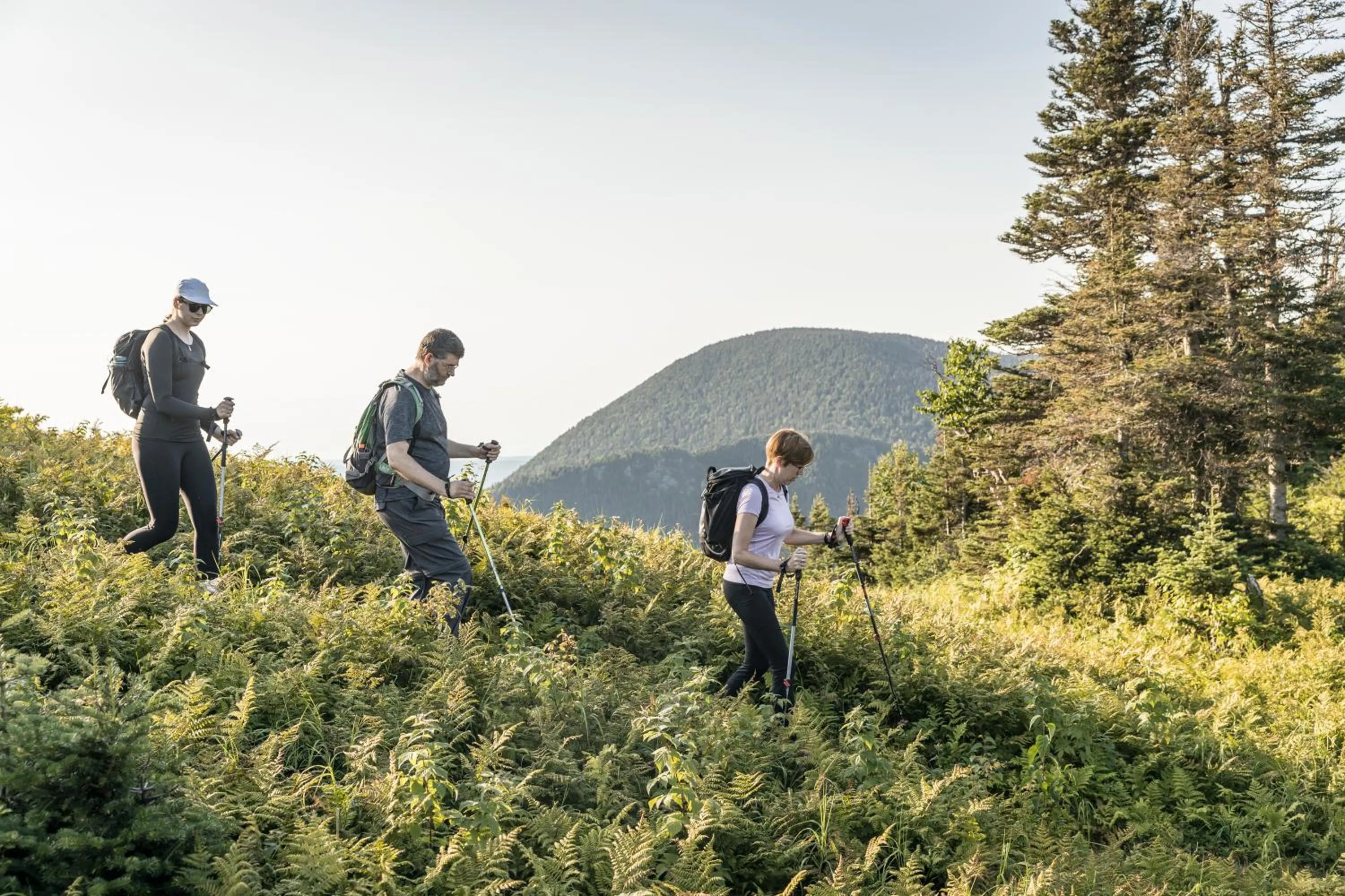 Activities in Auberge de Montagne des Chic-Chocs Mountain Lodge - Sepaq