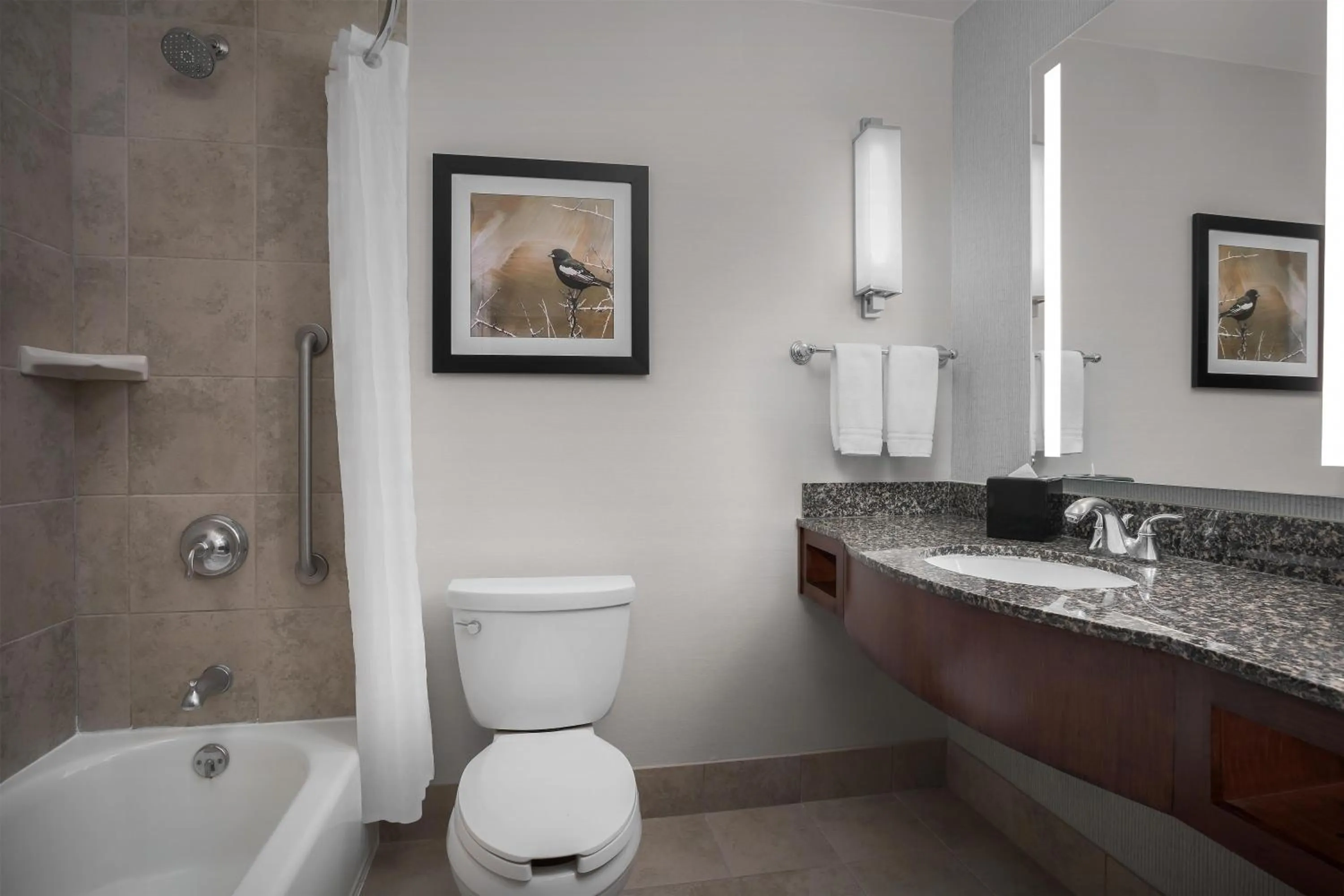 Bathroom in Hilton Garden Inn Denver Downtown