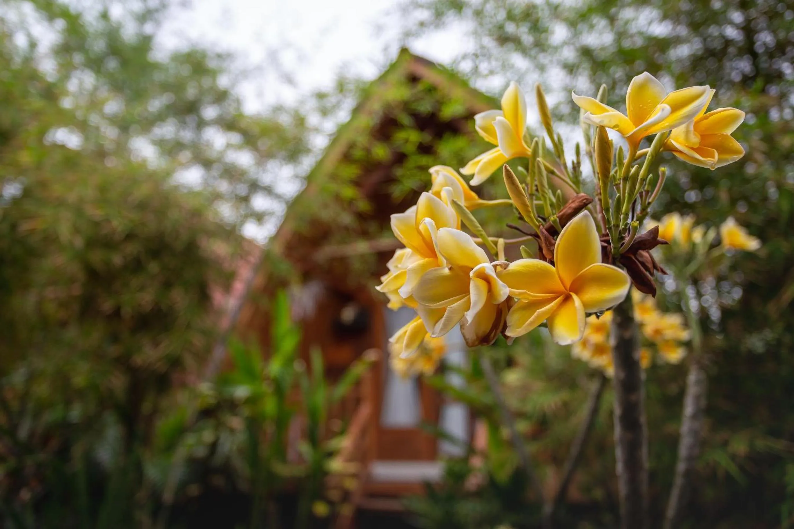 Decorative detail in Penida Krusty Hill by ecommerceloka