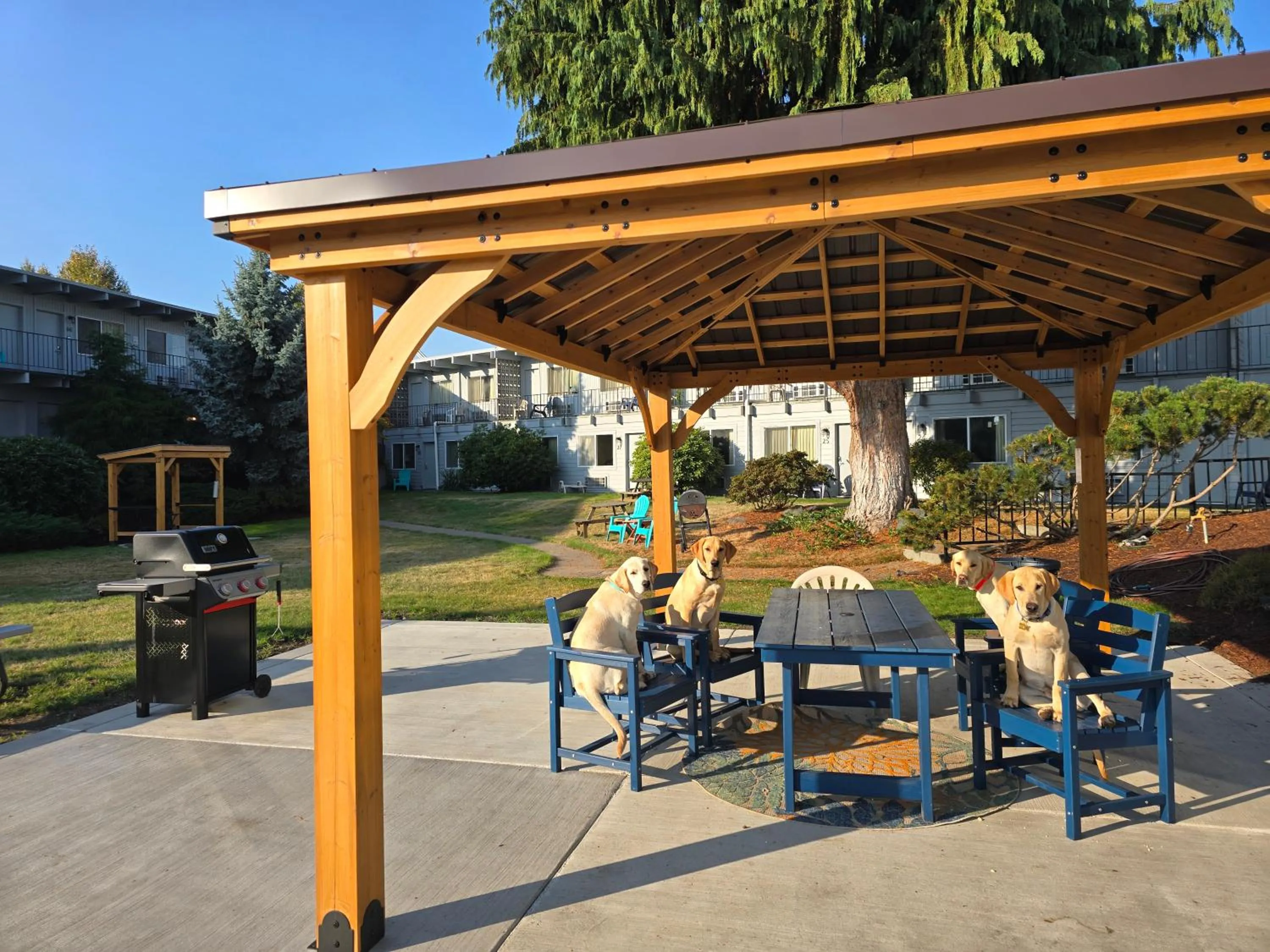 pet friendly in Cocusa Motel