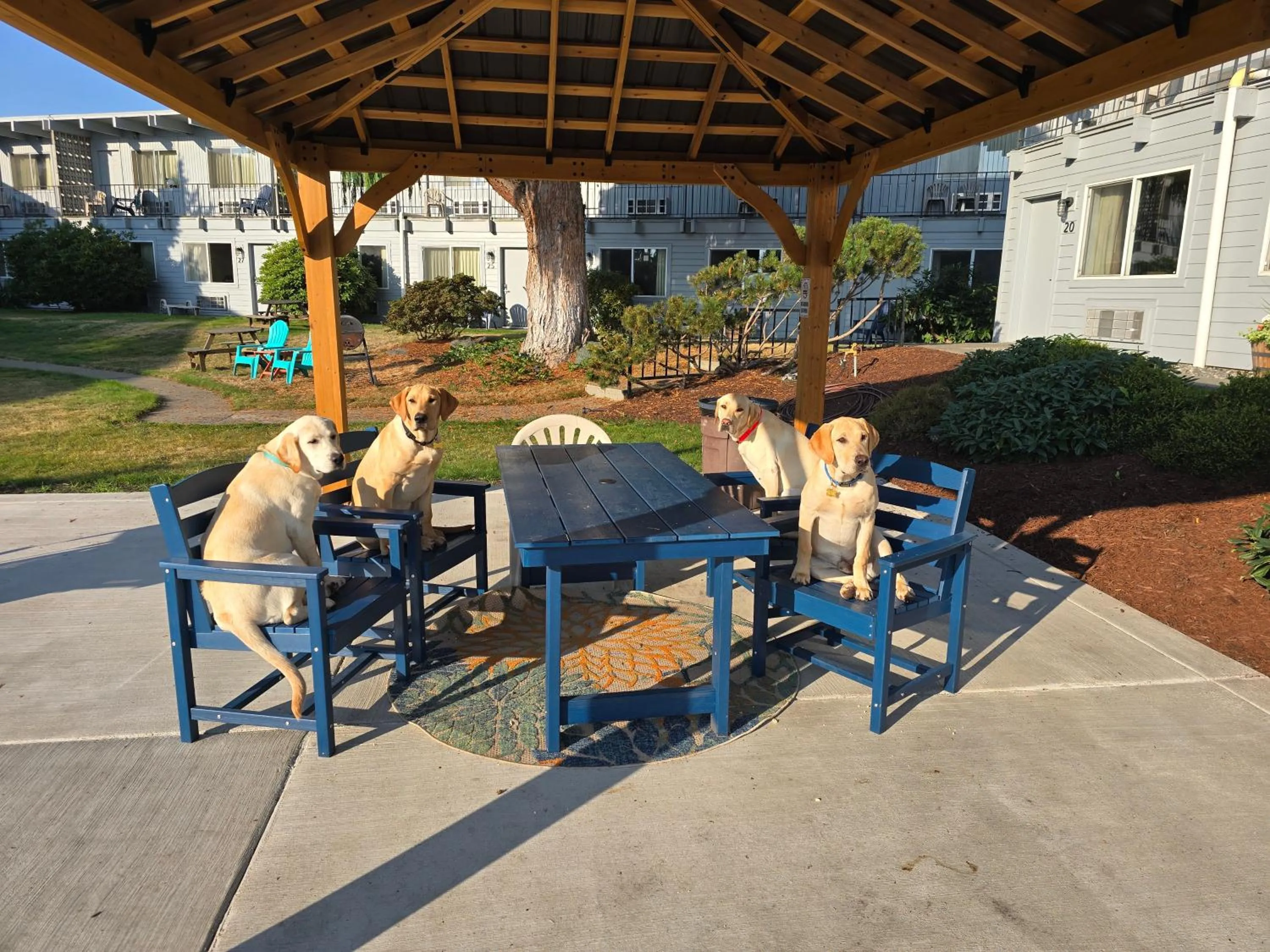 pet friendly in Cocusa Motel