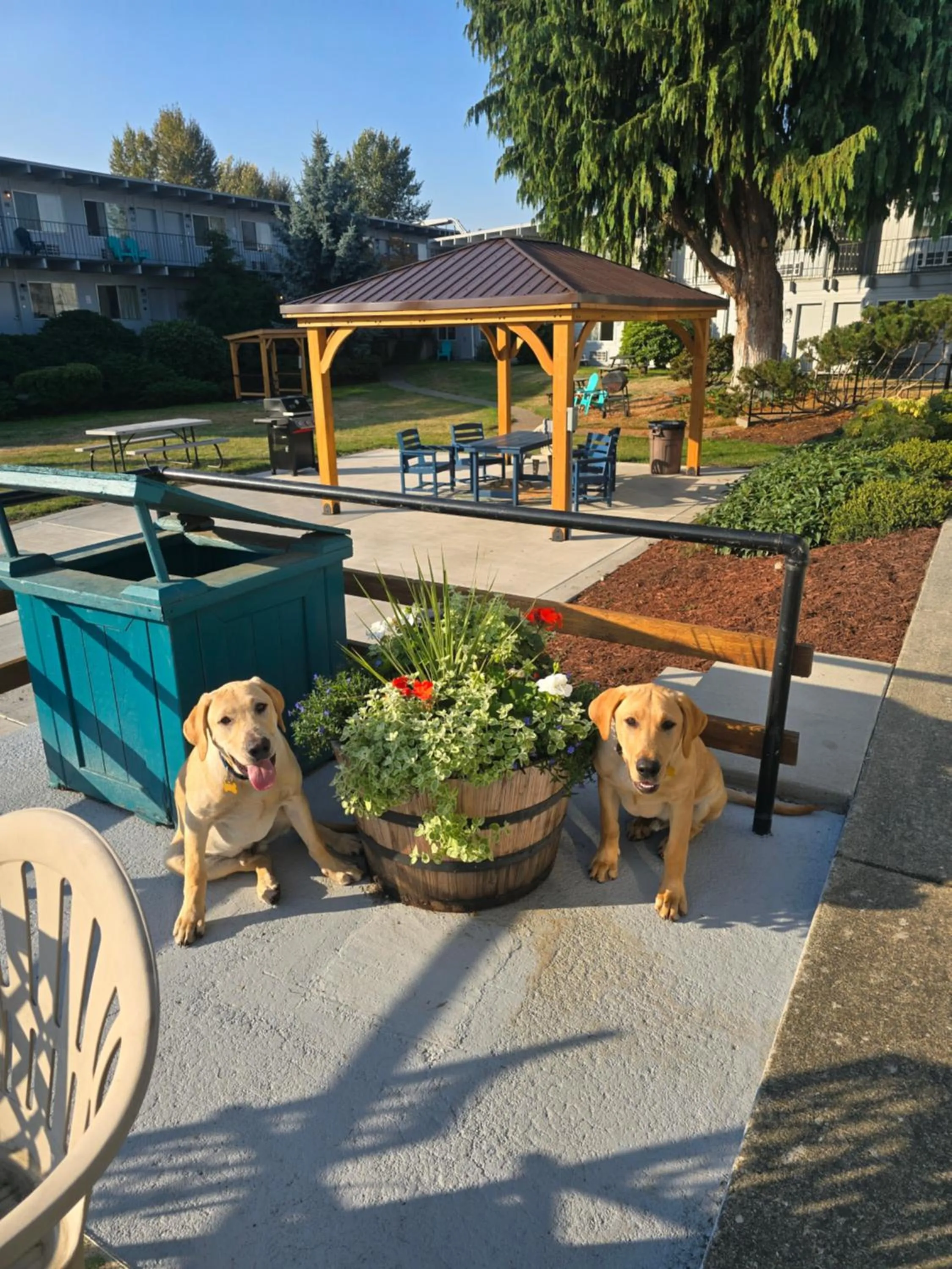 pet friendly in Cocusa Motel