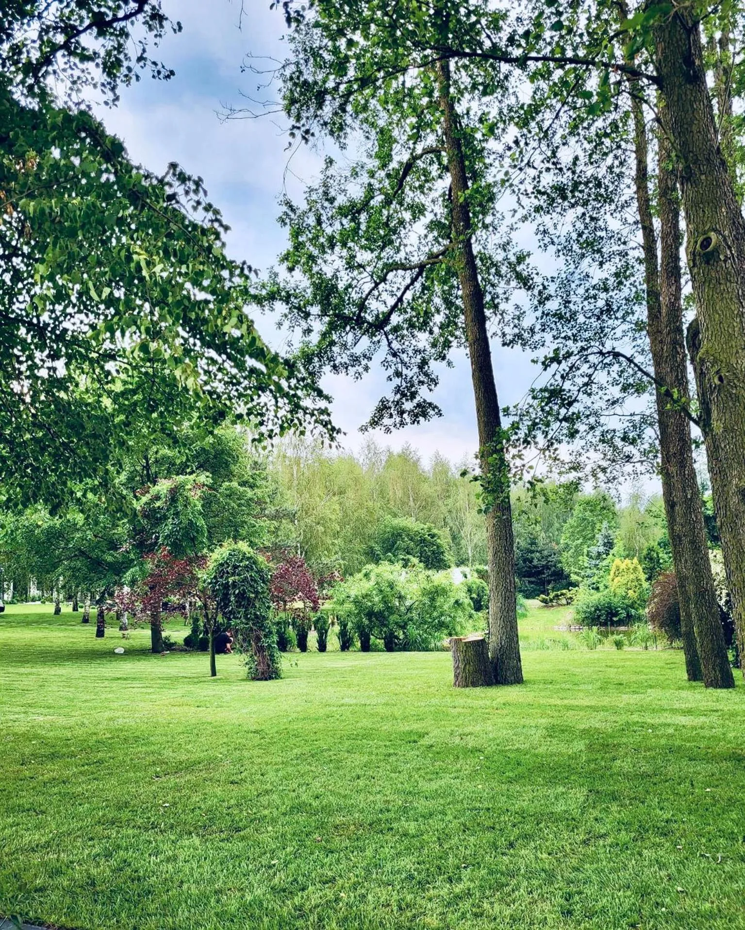 Natural landscape in Arboretum Hotel