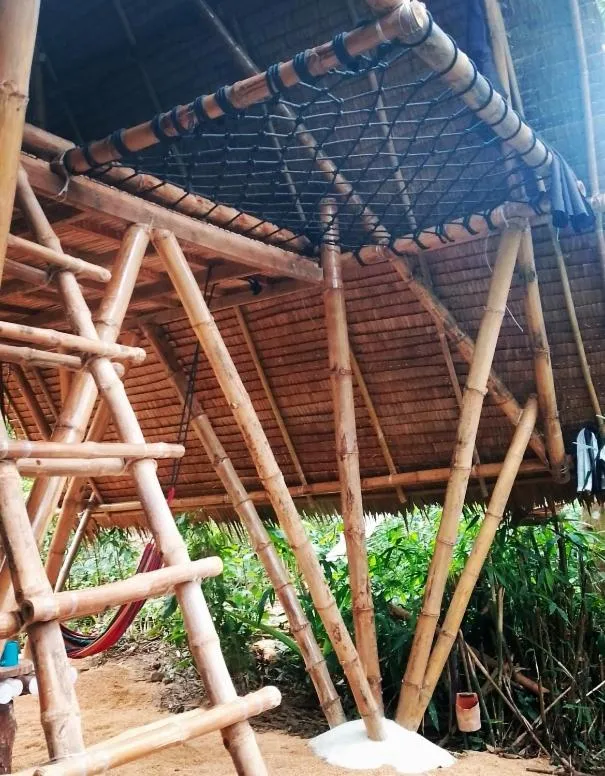 Double Room in Ecocio Jungle Hostel