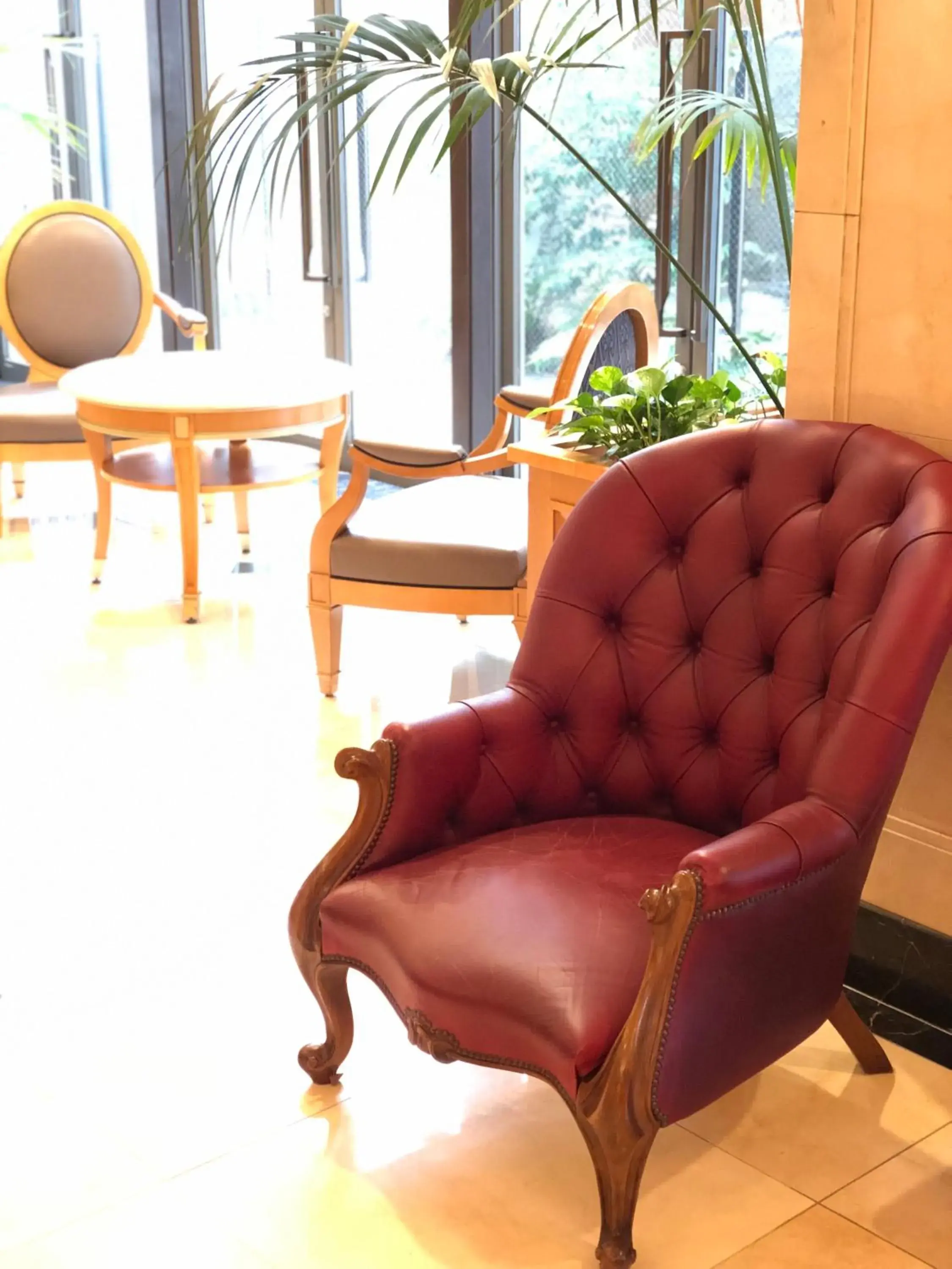 Lobby or reception in Hotel Patio Dogo Lobby or reception in Hotel Patio Dogo