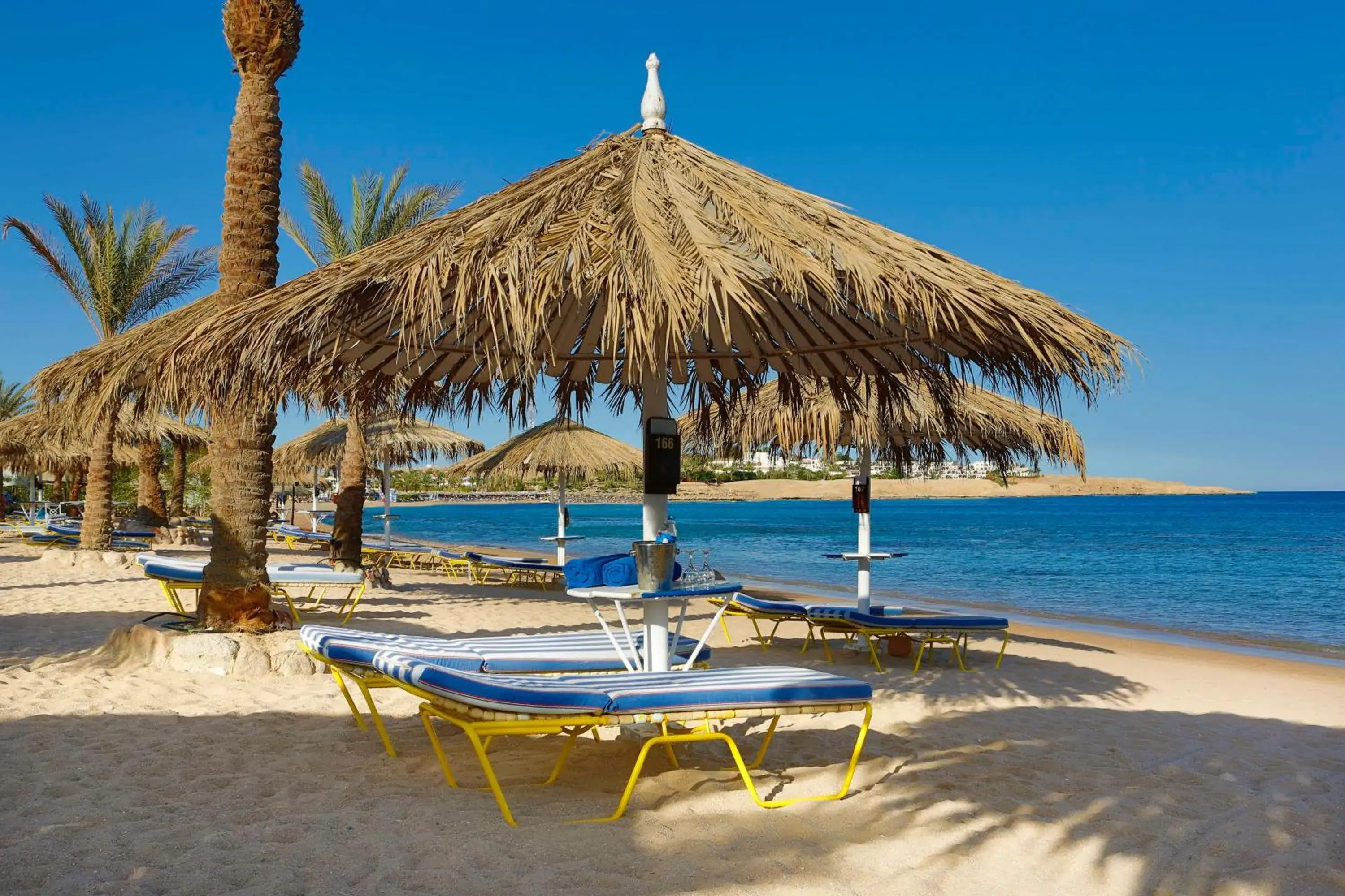 Property building in Hilton Daytona Beach Resort Property building in Hilton Daytona Beach Resort