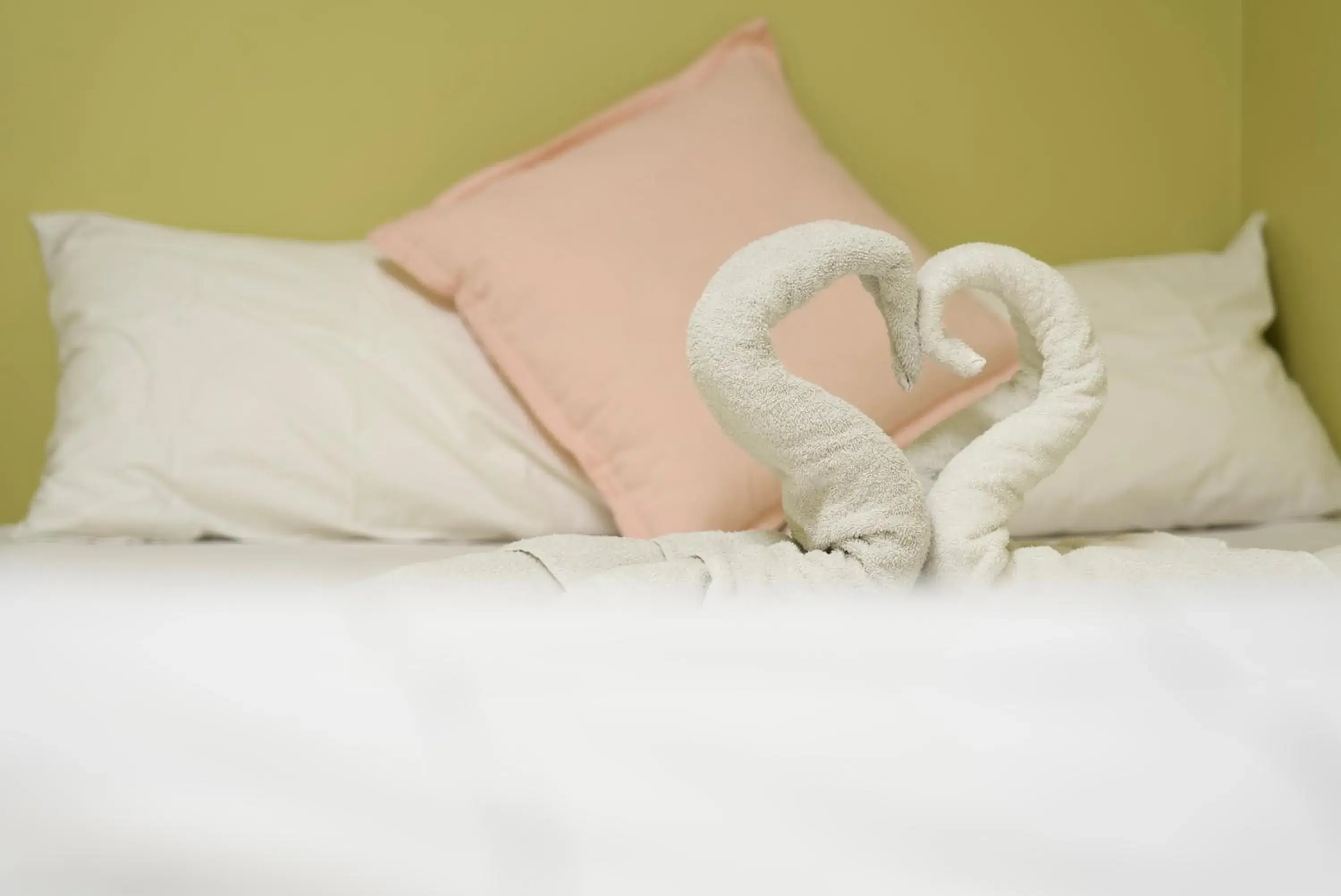 Bedroom, Bed in Silverfern Backpackers Bedroom, Bed in Silverfern Backpackers