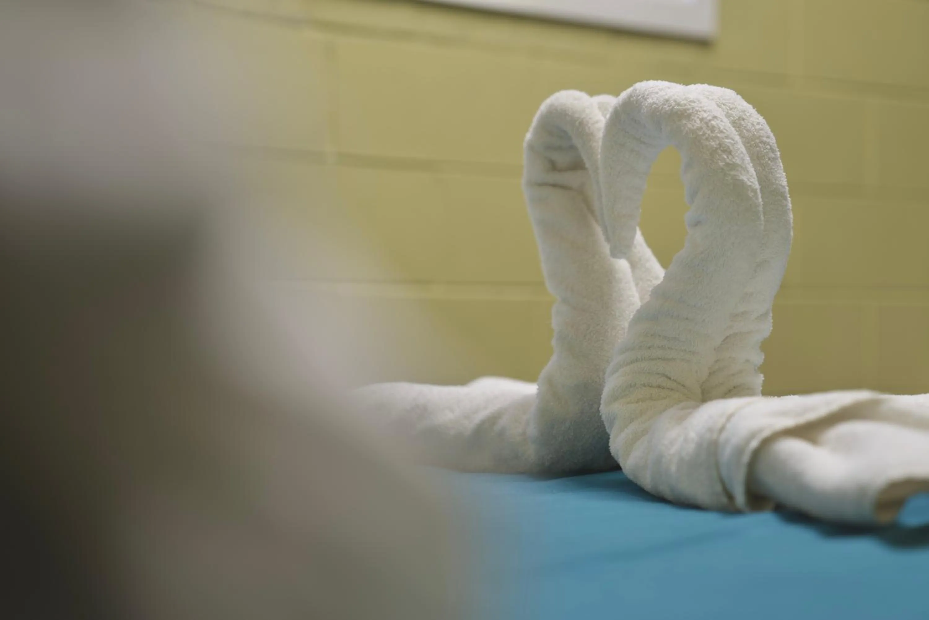 towels in Silverfern Backpackers
