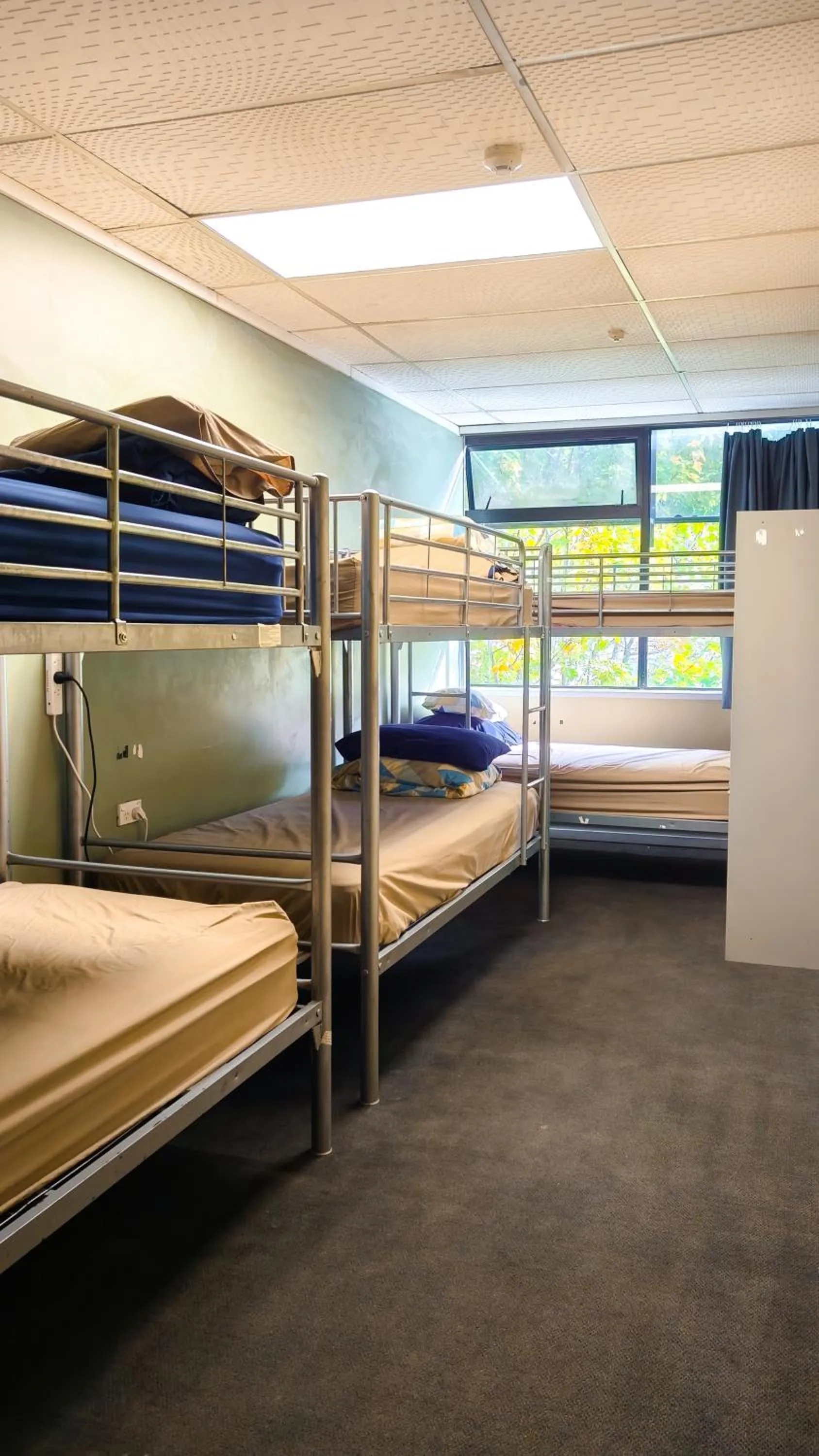 Bedroom, Bed in Silverfern Backpackers