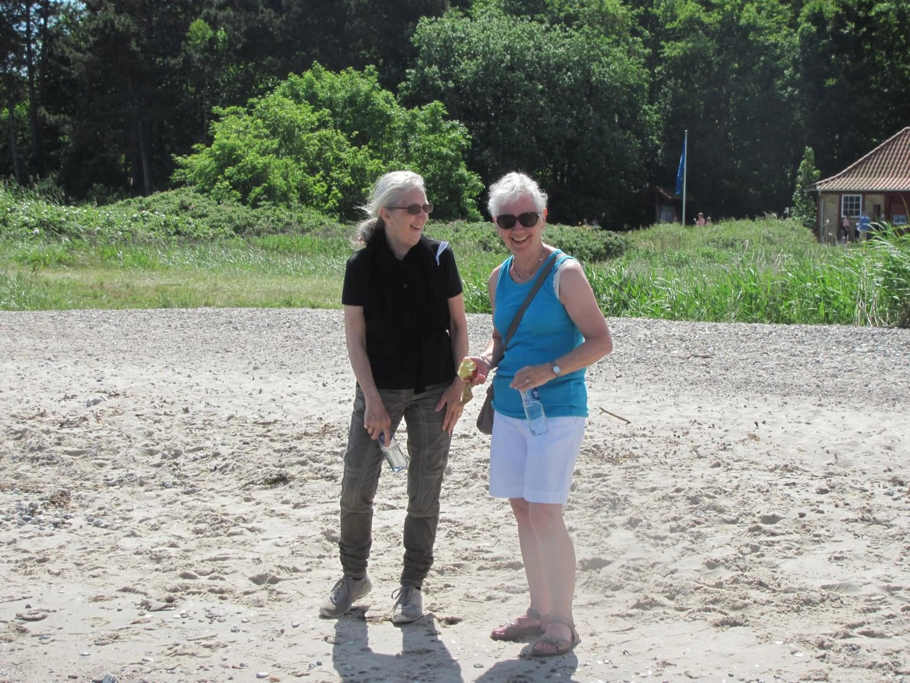 Beach in Dancamps Trelde Naes (Camp Site)
