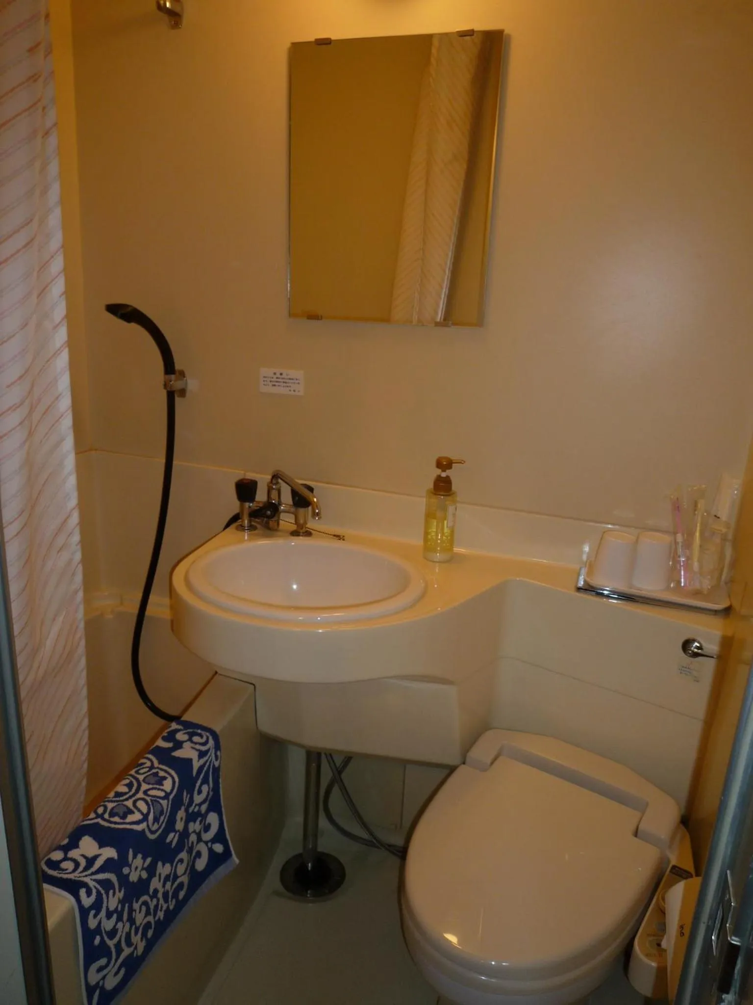 Bathroom in Shiga Kogen Hotel Shiga Sunvalley