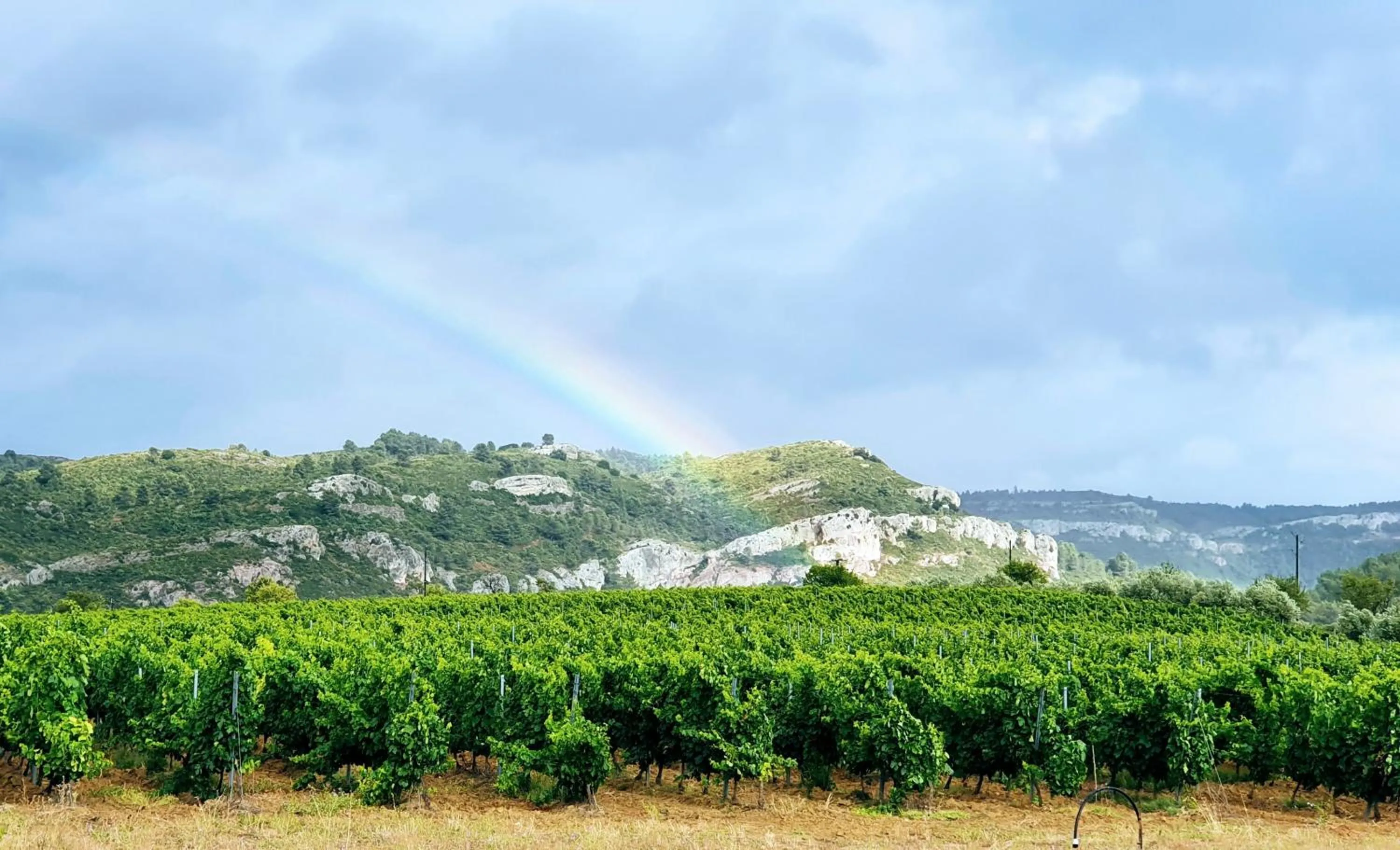 Property building in Château La Sabine