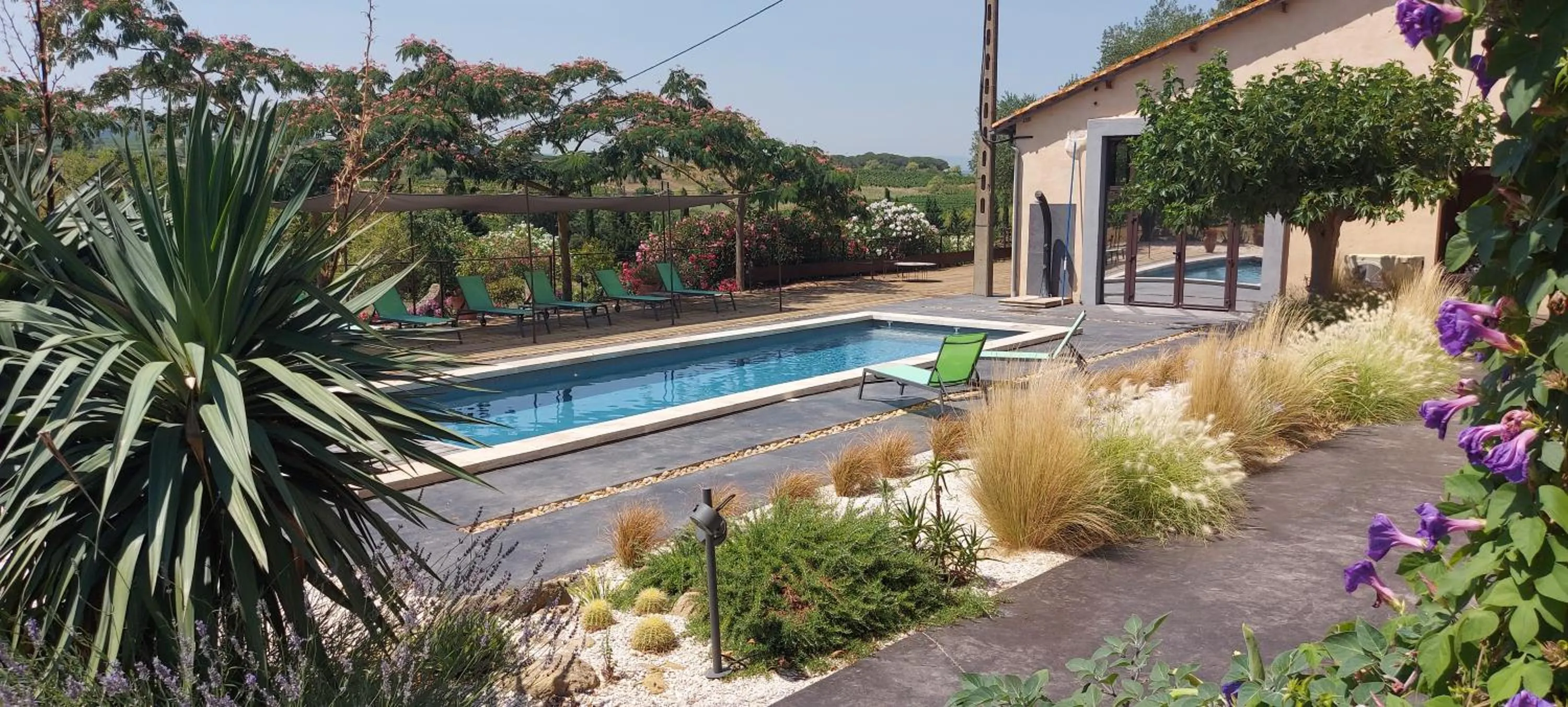Swimming pool in Château La Sabine