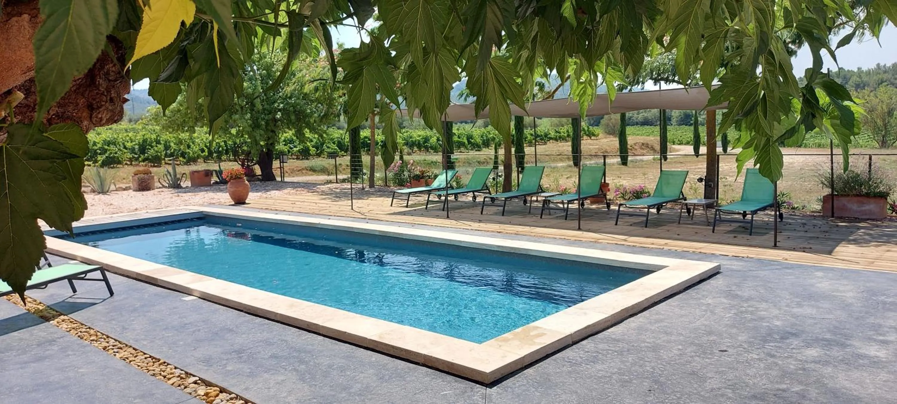 Swimming pool in Château La Sabine