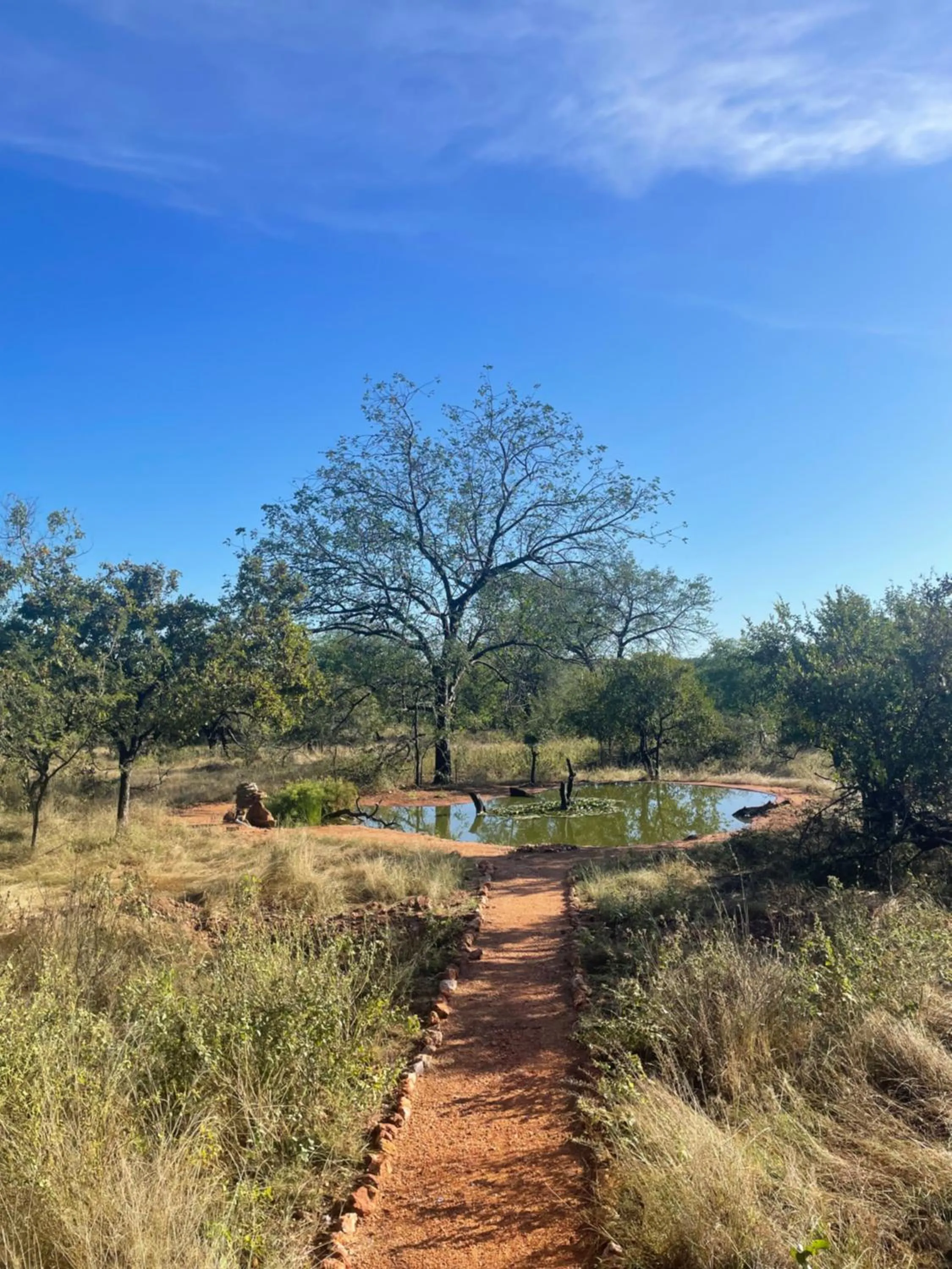 Natural landscape in Thula Private Lodge