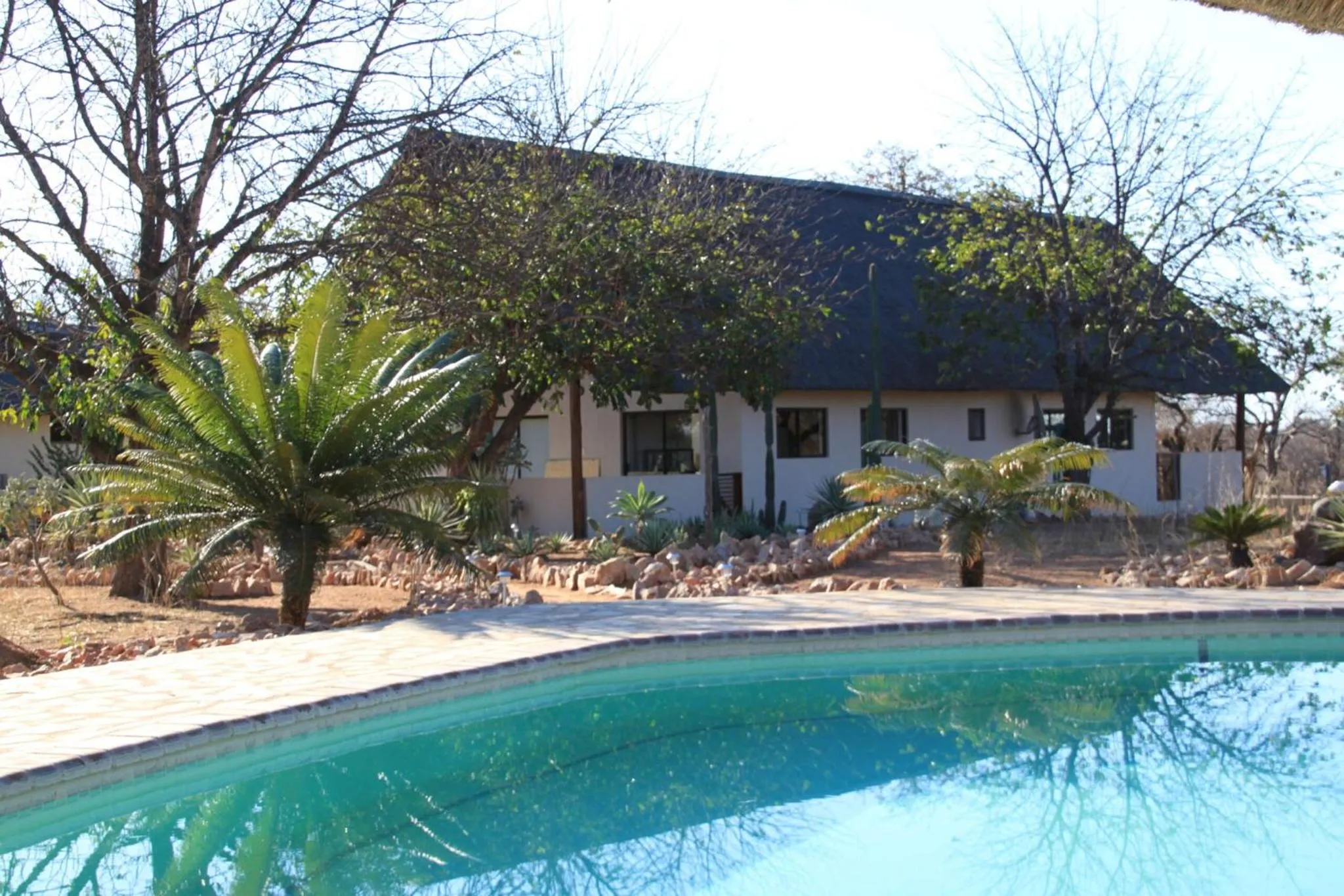 Swimming pool in Thula Private Lodge