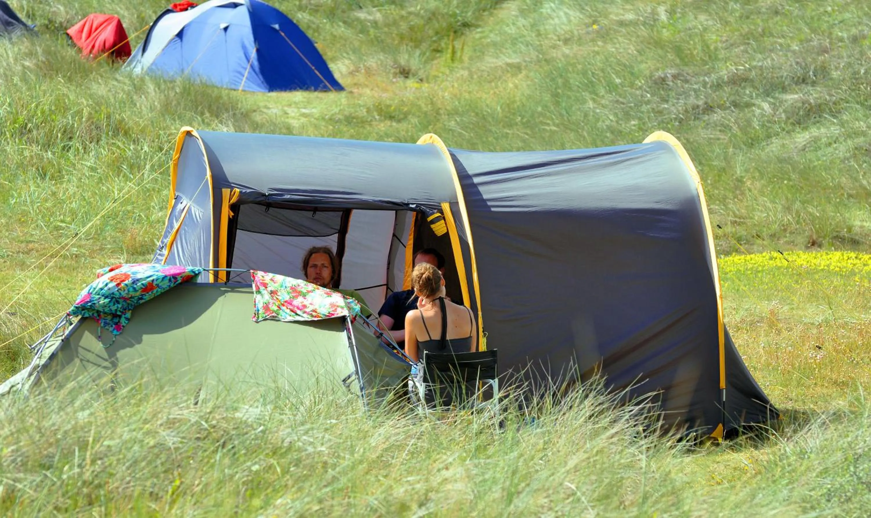 Other in Dancamps Holmsland (Camp Site)