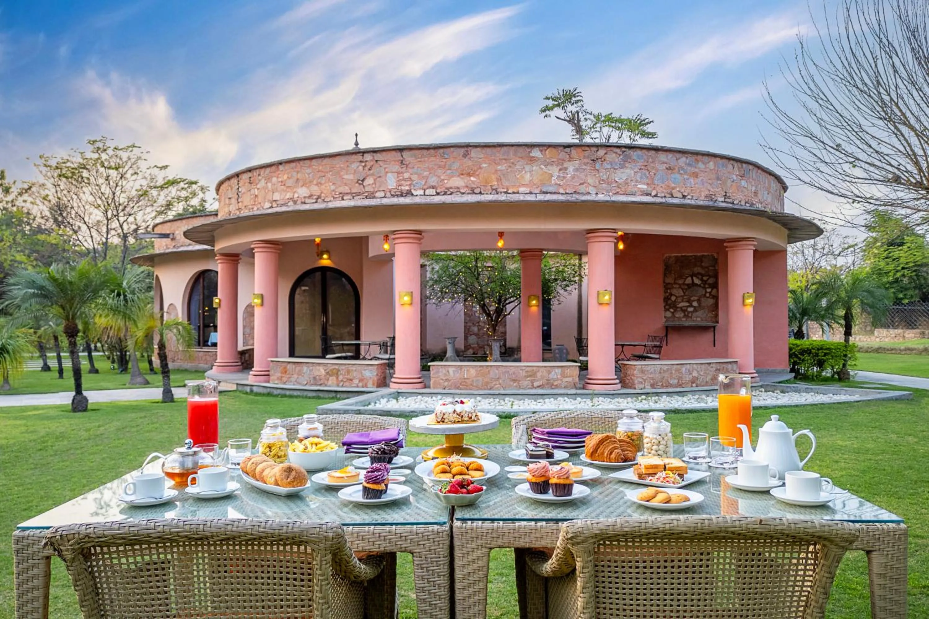 Activities in Tree of Life Resort & Spa Jaipur