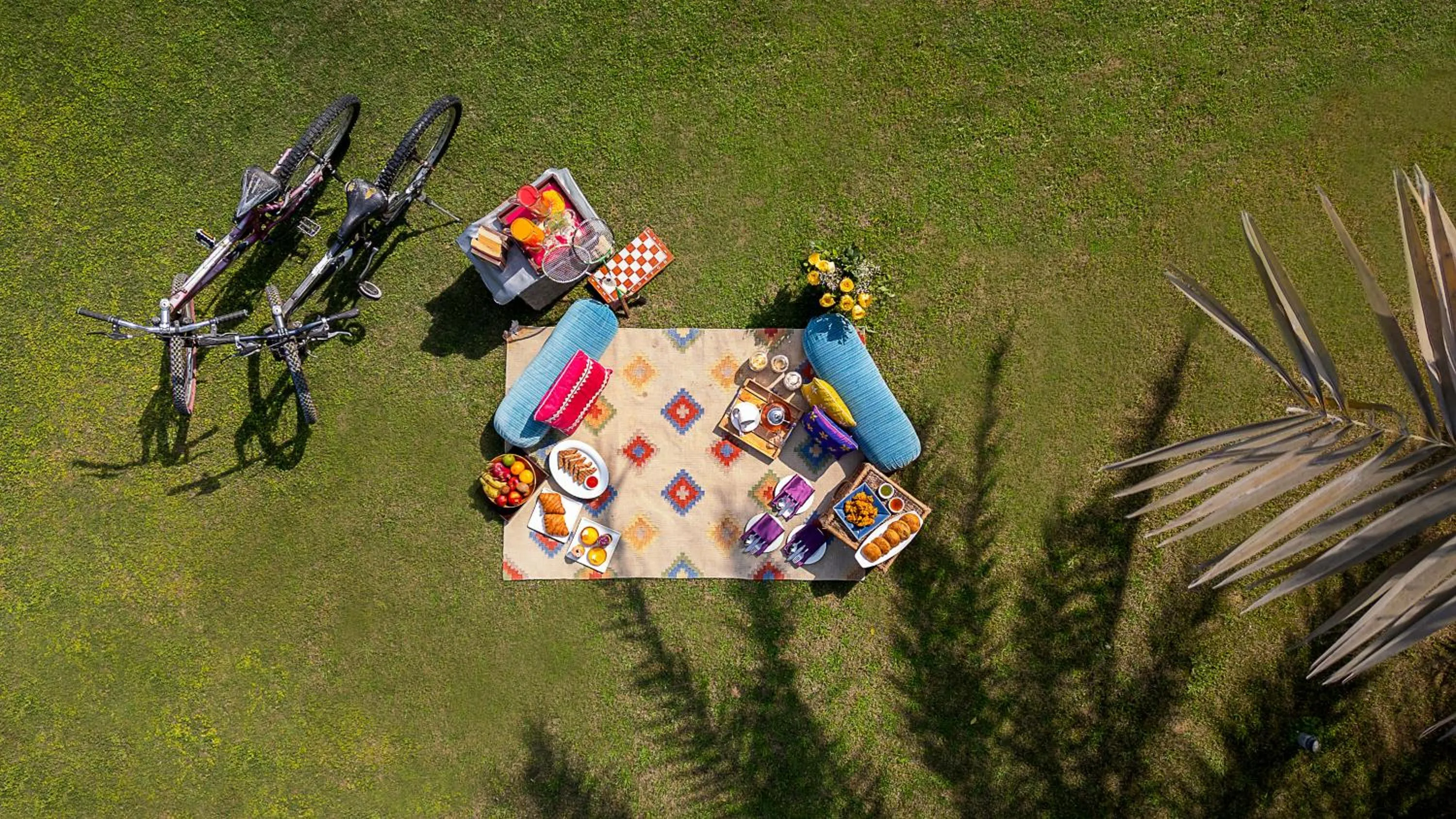 Activities in Tree of Life Resort & Spa Jaipur