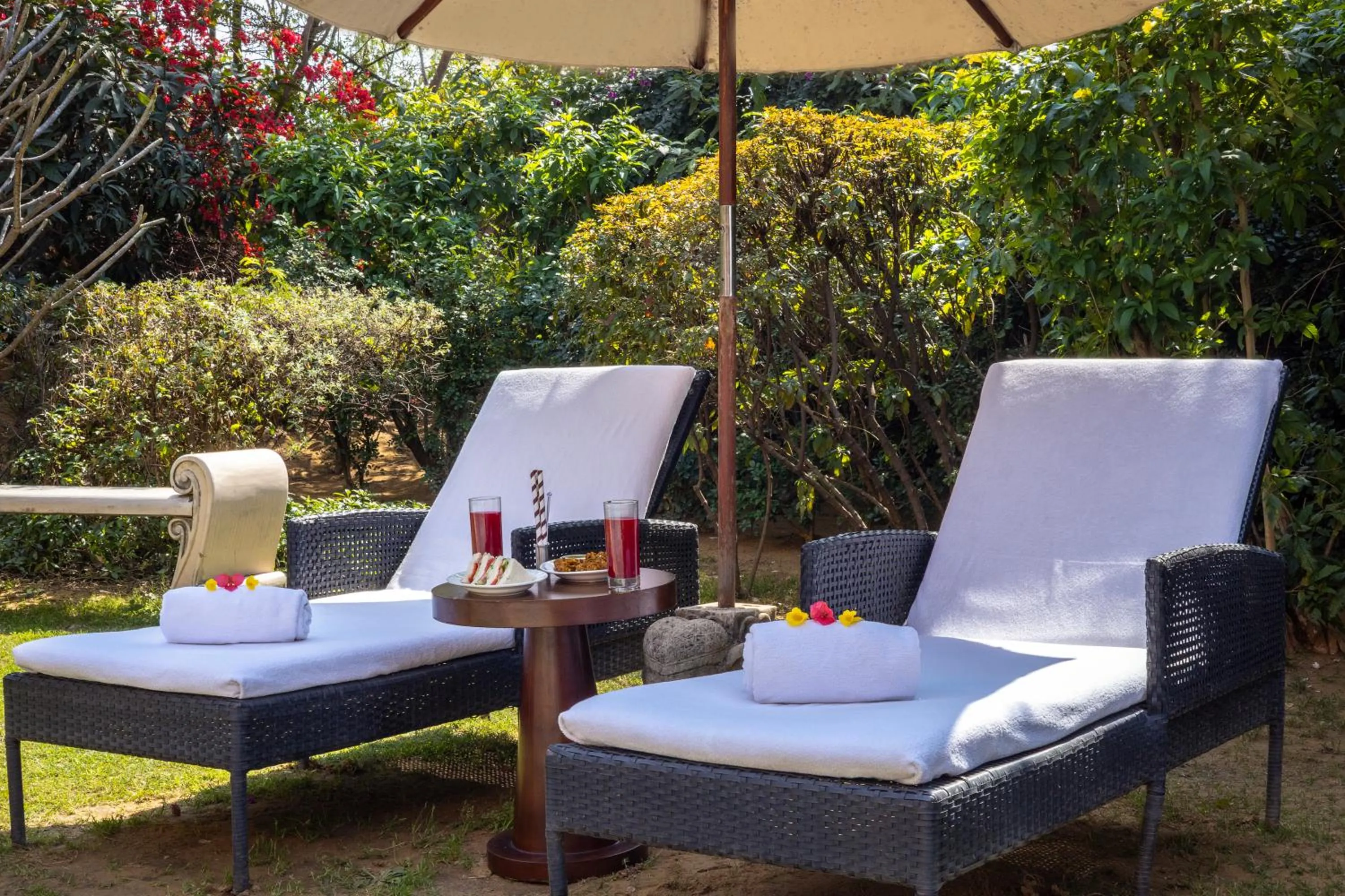 Swimming pool in Tree of Life Resort & Spa Jaipur