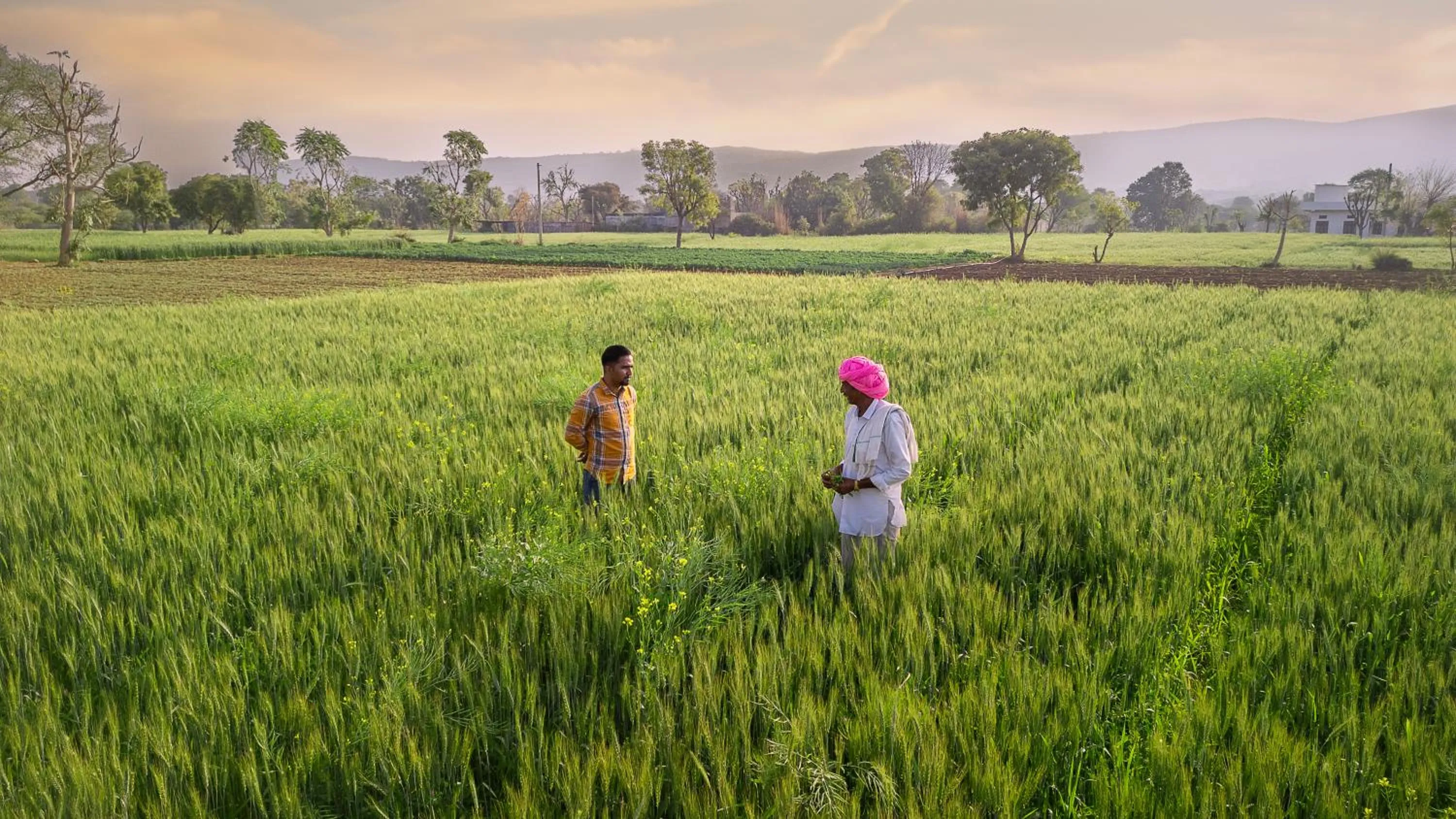 Activities in Tree of Life Resort & Spa Jaipur