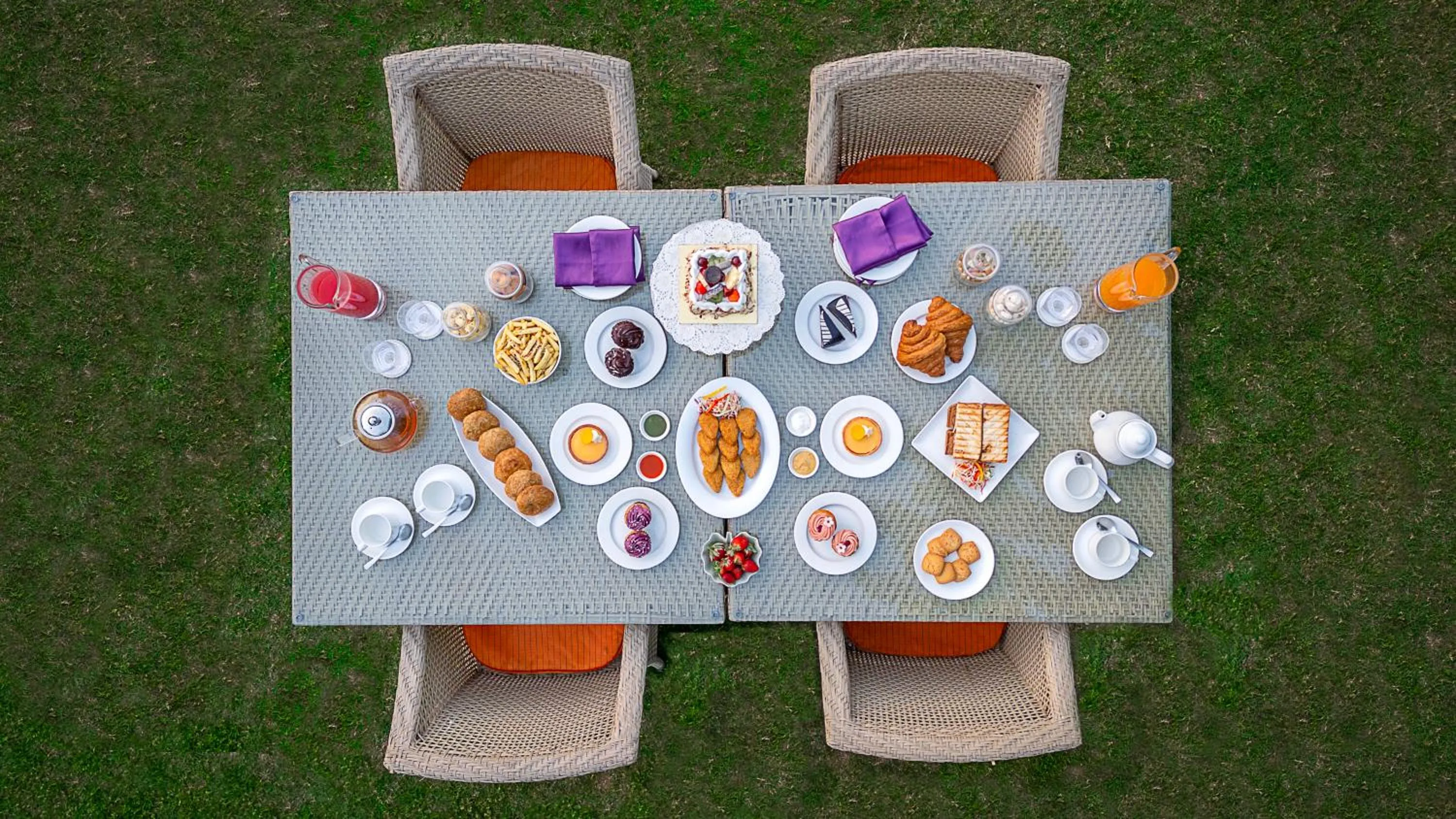 Activities in Tree of Life Resort & Spa Jaipur