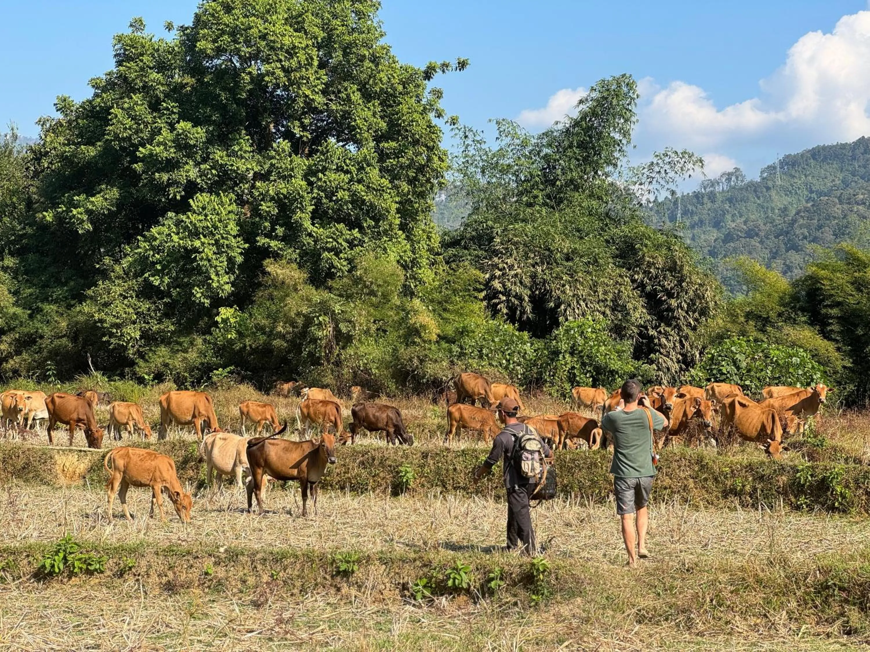 Natural landscape in Riverside Boutique Resort, Vang Vieng