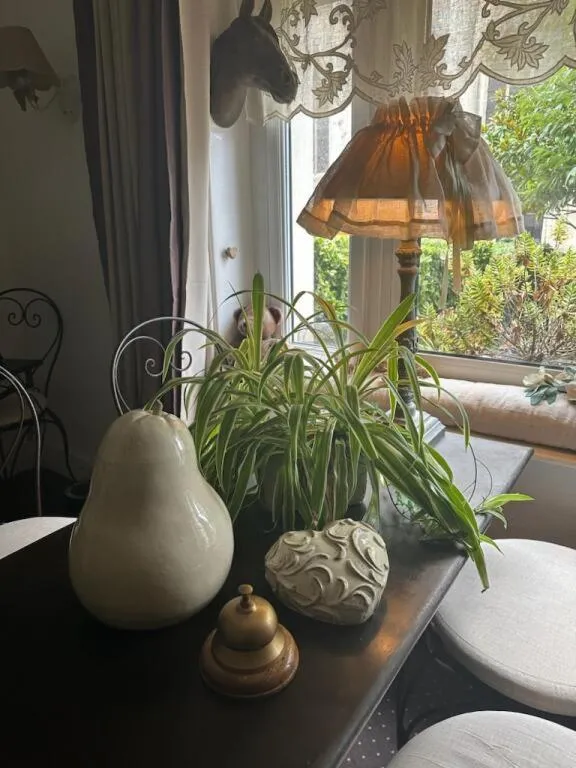 Hôtel Boutique Saint-Louis