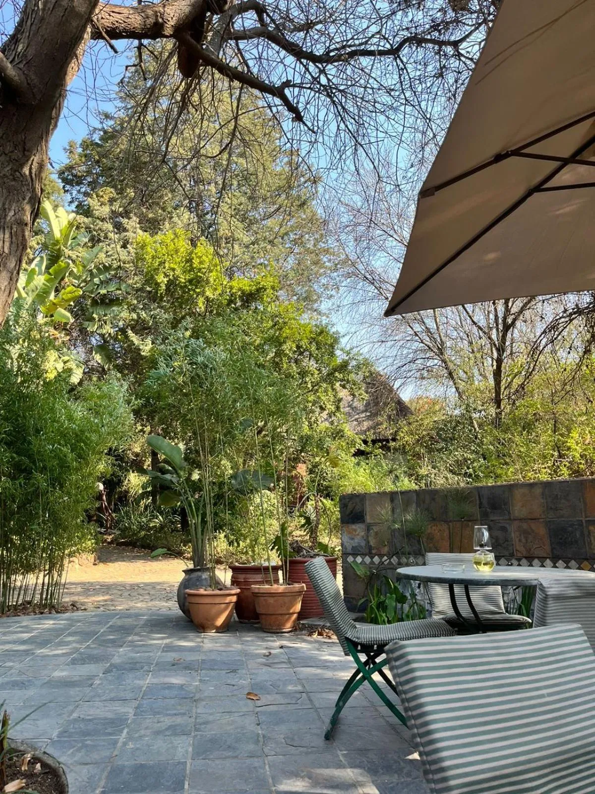 Balcony/Terrace in Hakunamatata Lodge & Health Spa