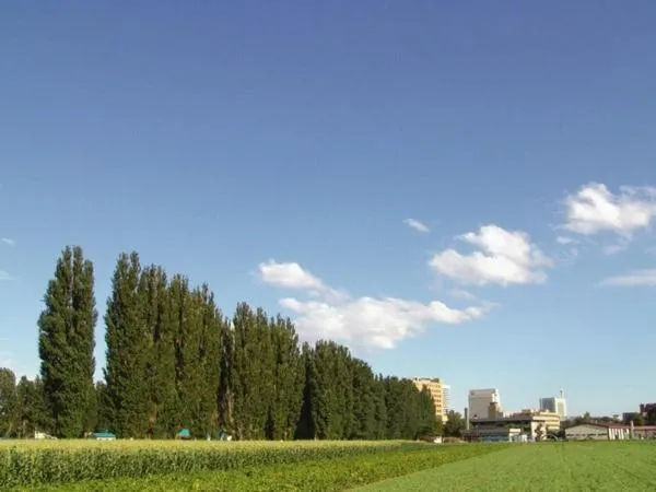 Natural landscape in Sapporo Clark Hotel