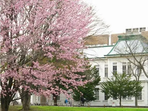 Property building in Sapporo Clark Hotel Property building in Sapporo Clark Hotel