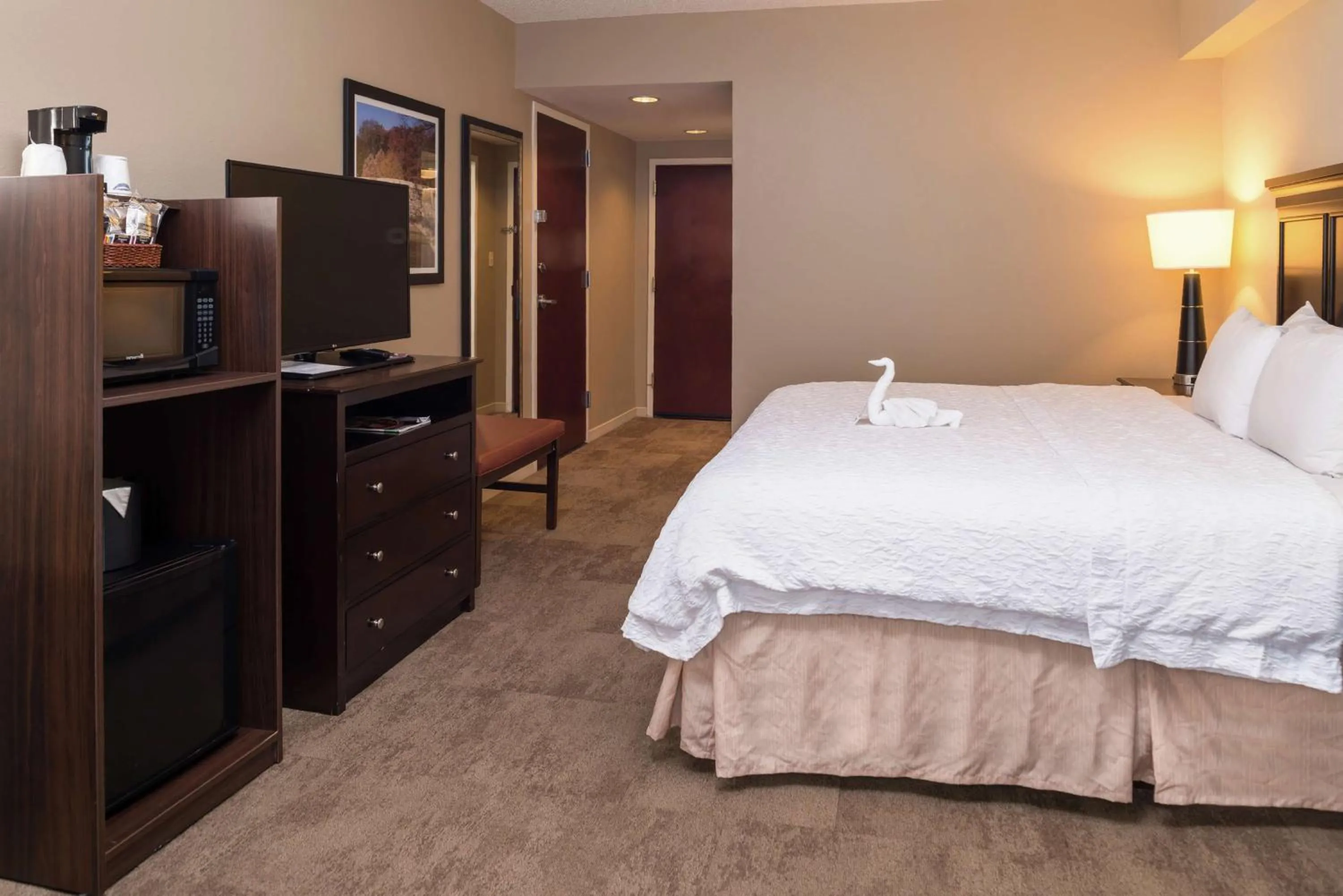 Photo of the whole room, Bed in Hampton Inn & Suites Charlotte Arrowood Rd