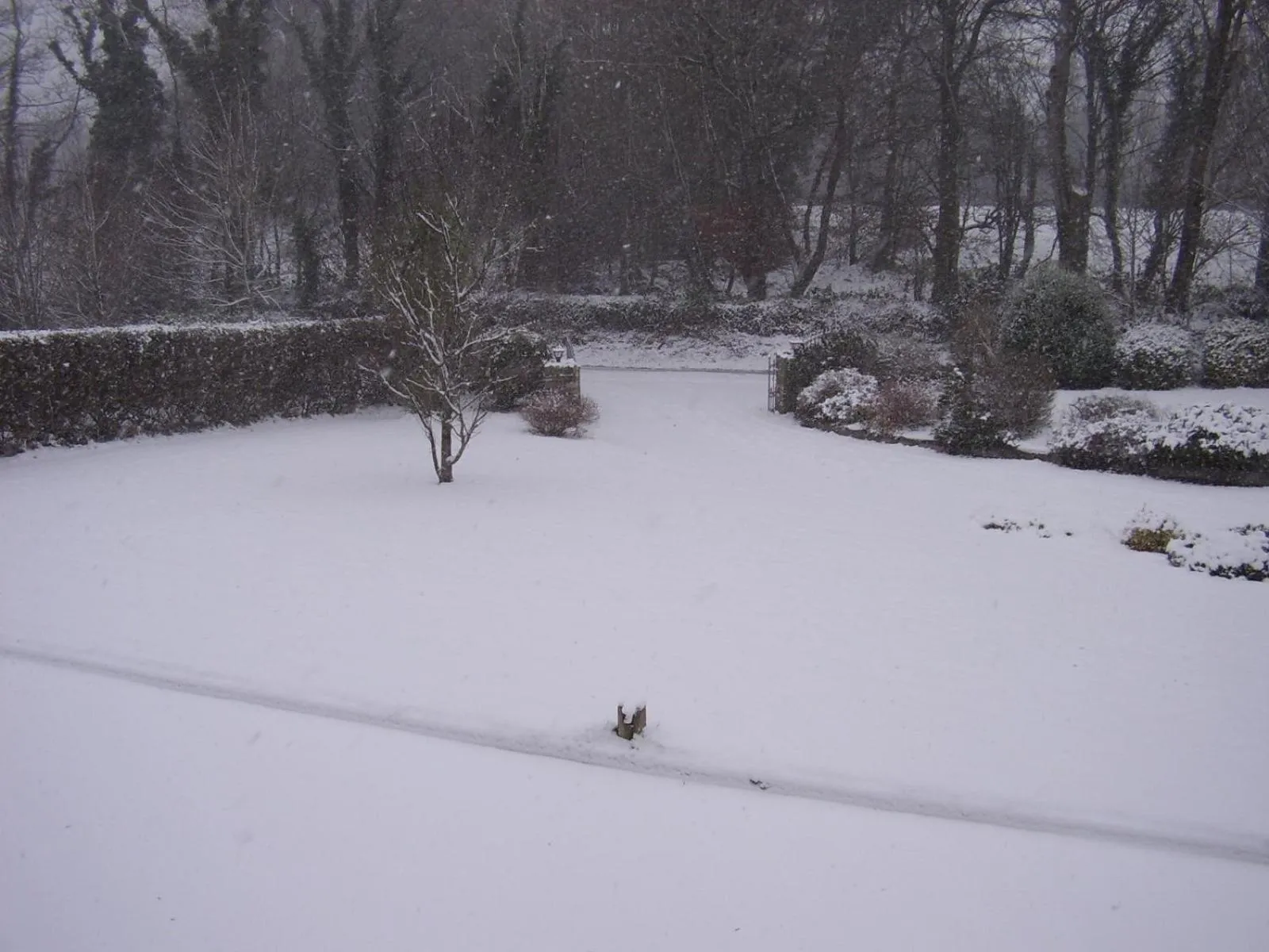 Natural landscape in PK Lodge Bed and breakfast