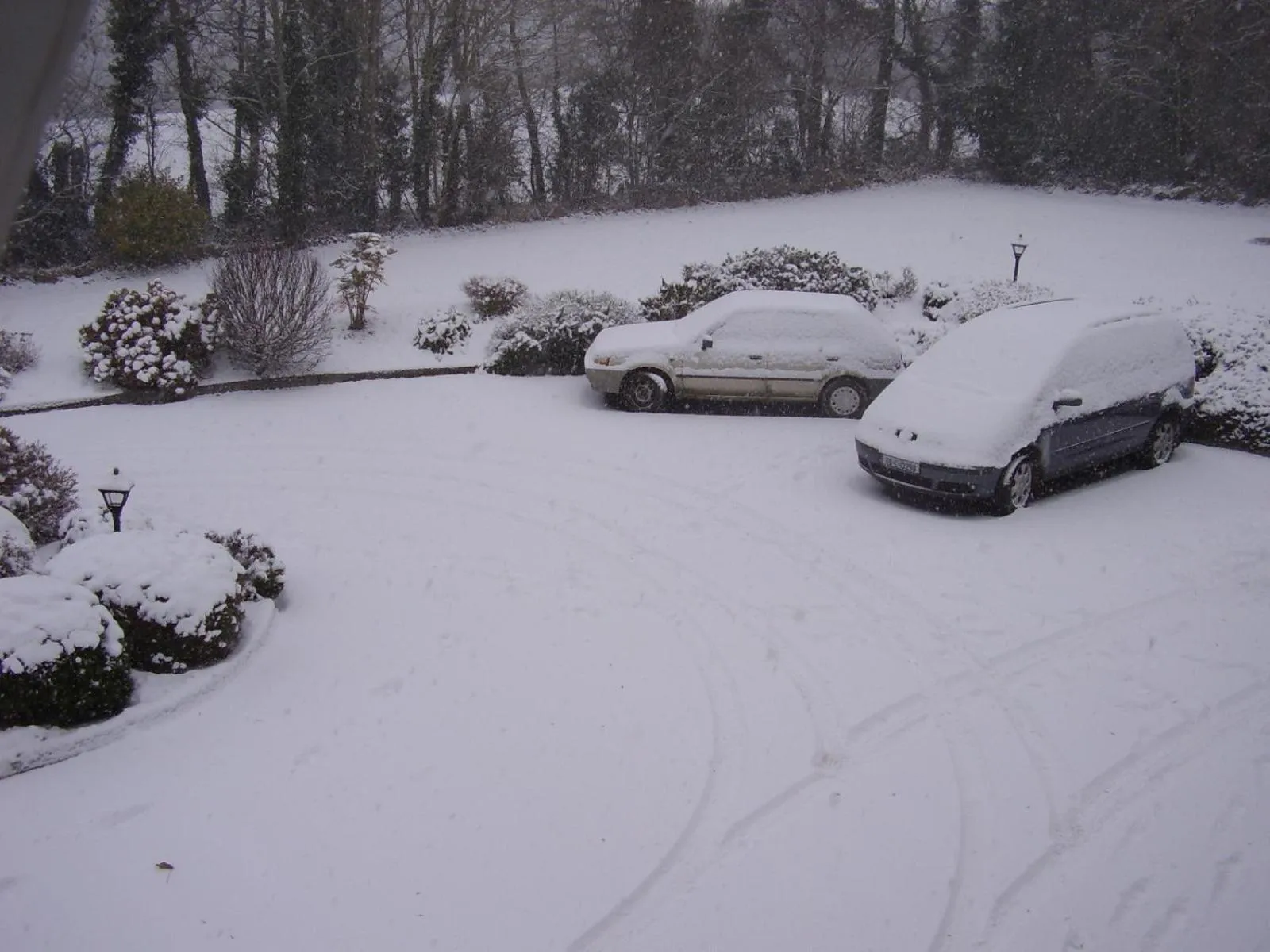 Natural landscape in PK Lodge Bed and breakfast