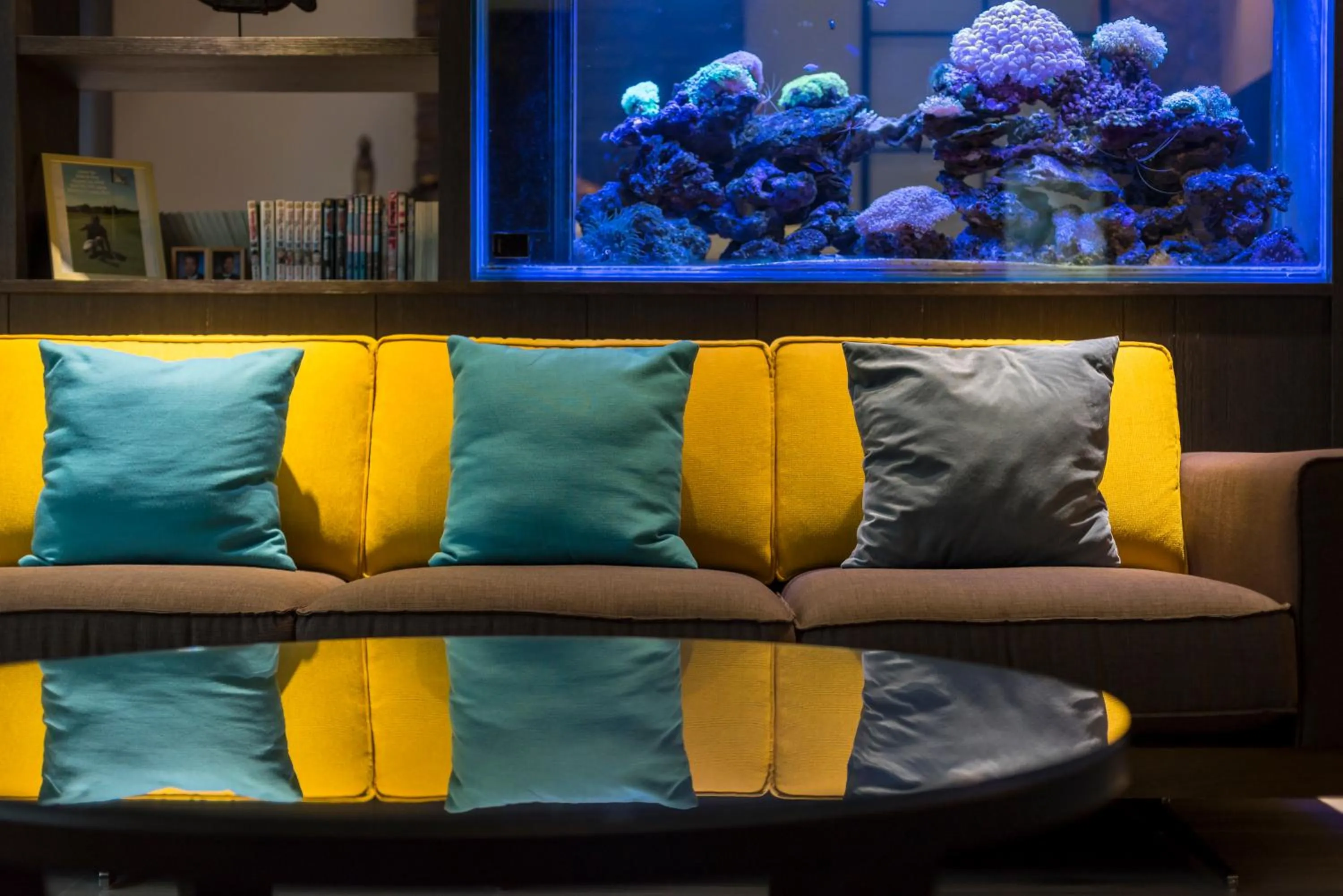 Follow the Cloud B&B