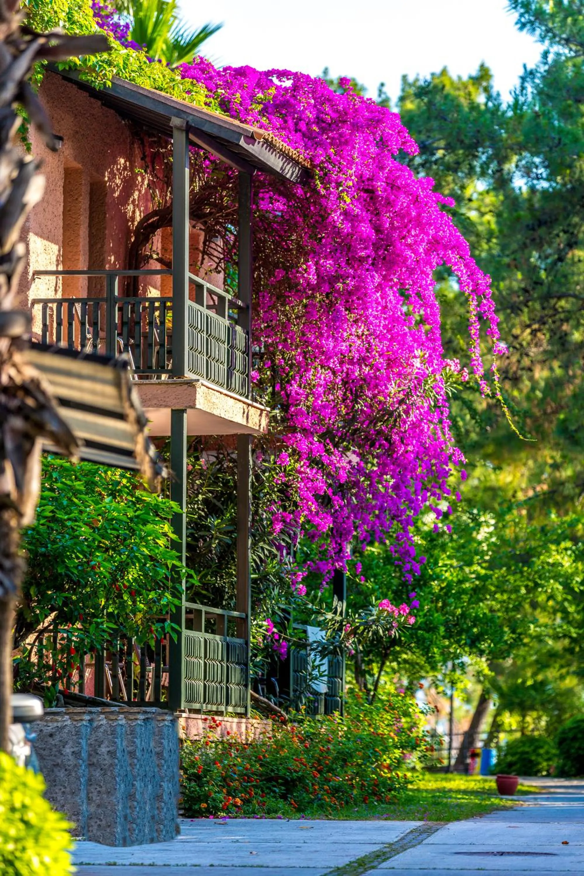 Grand Yazıcı Club Marmaris Palace