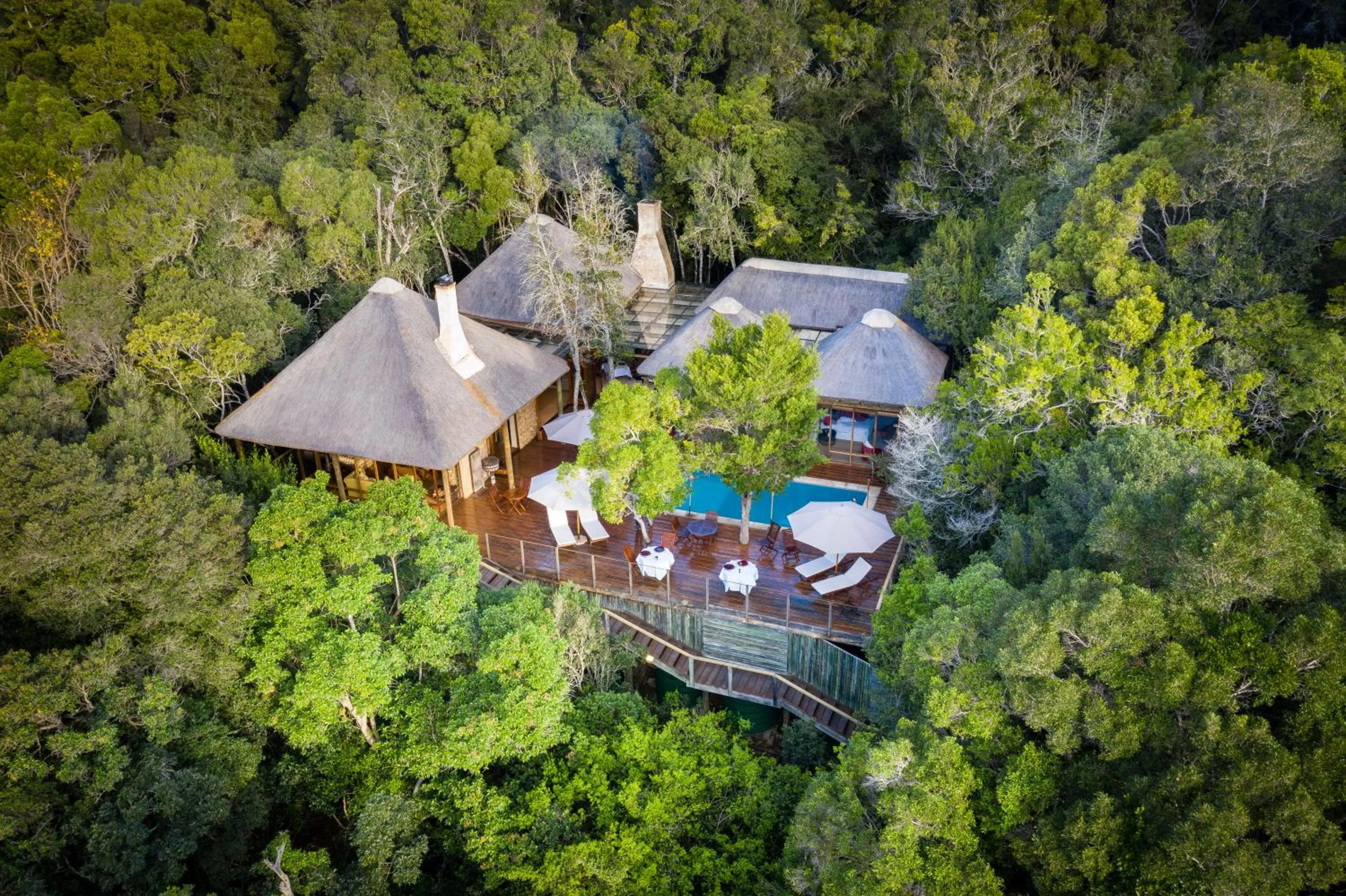 Bird's eye view in Trogon House and Forest Spa