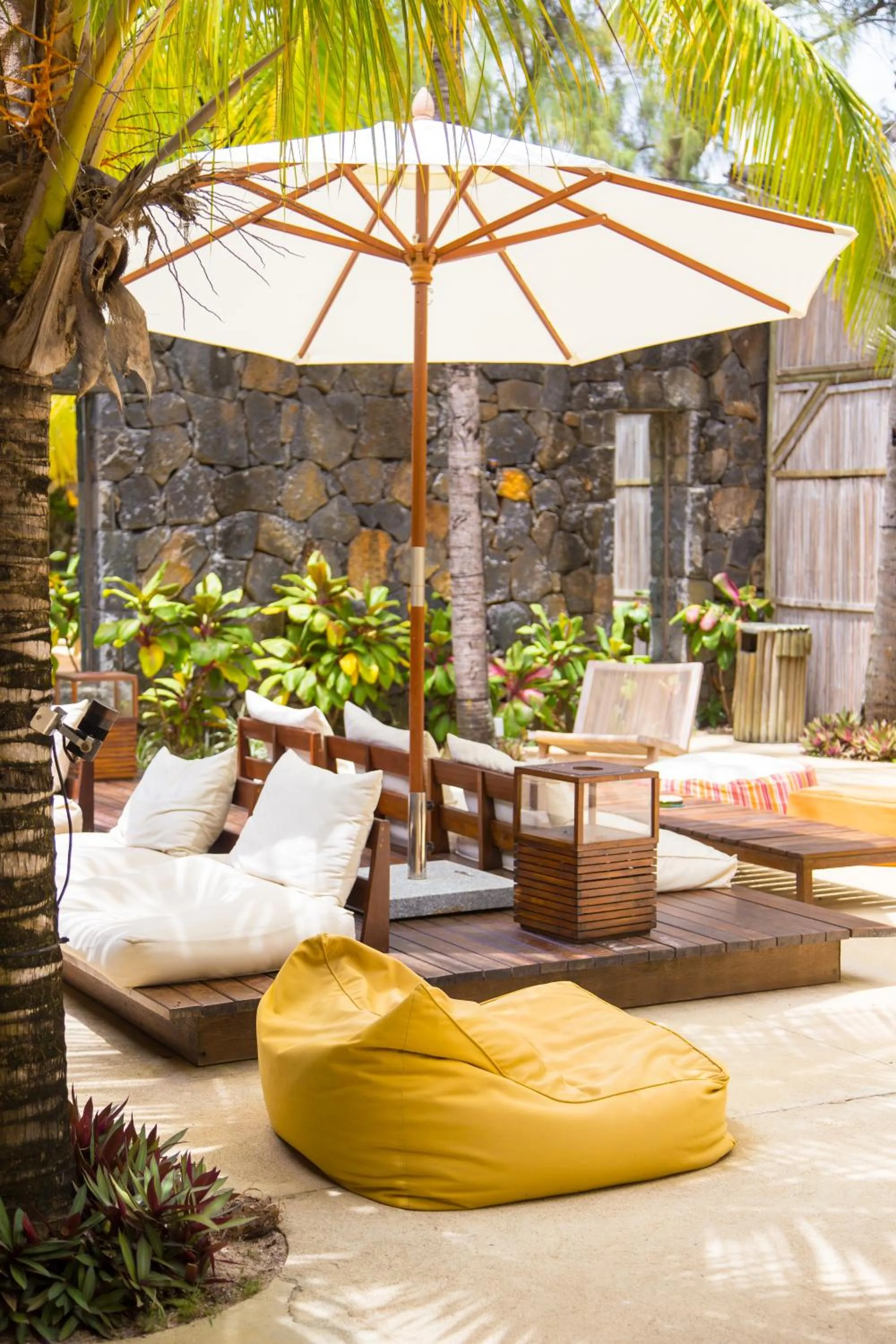 Day in Friday Attitude