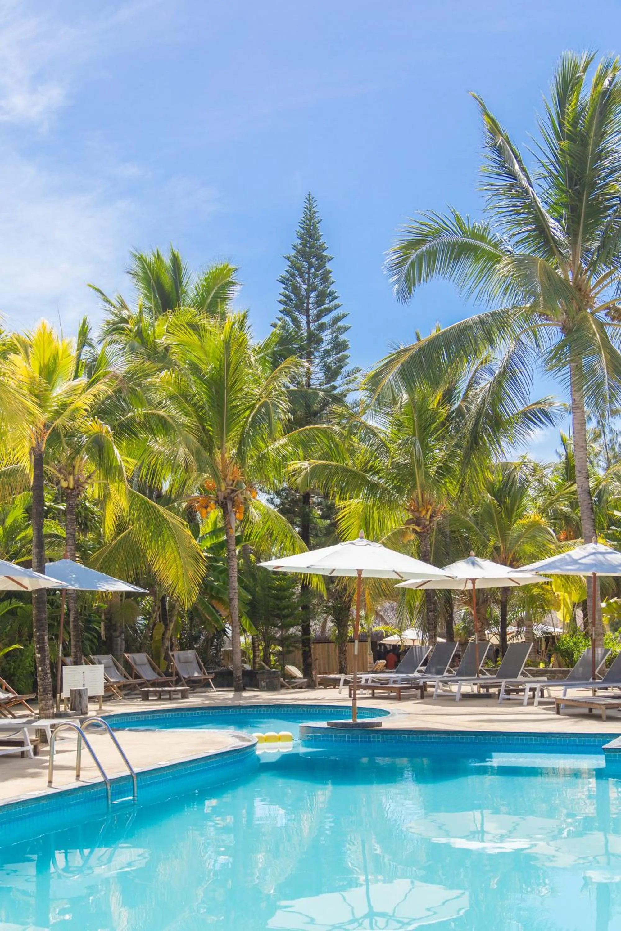 Day in Friday Attitude