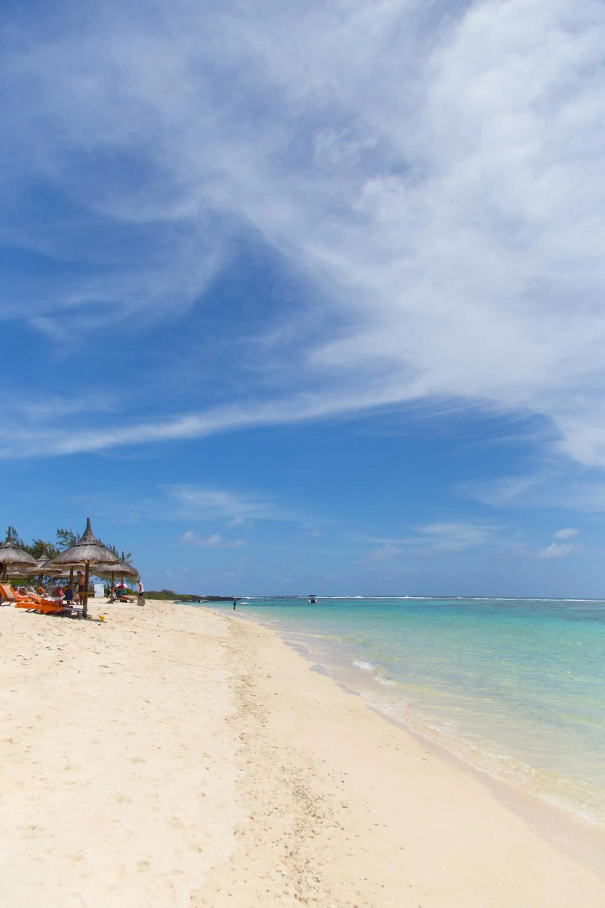 Day in Friday Attitude