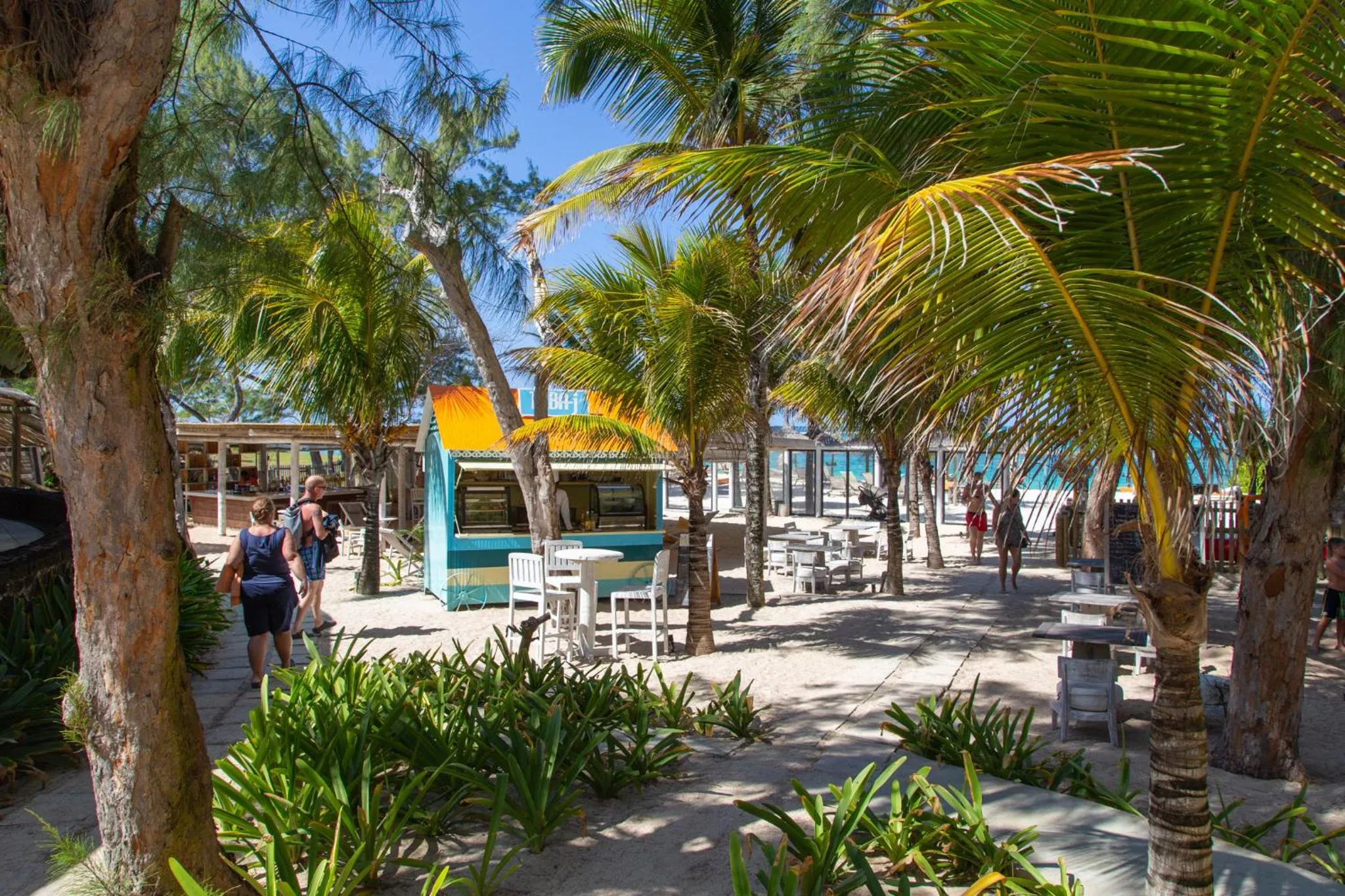 Beach in Friday Attitude