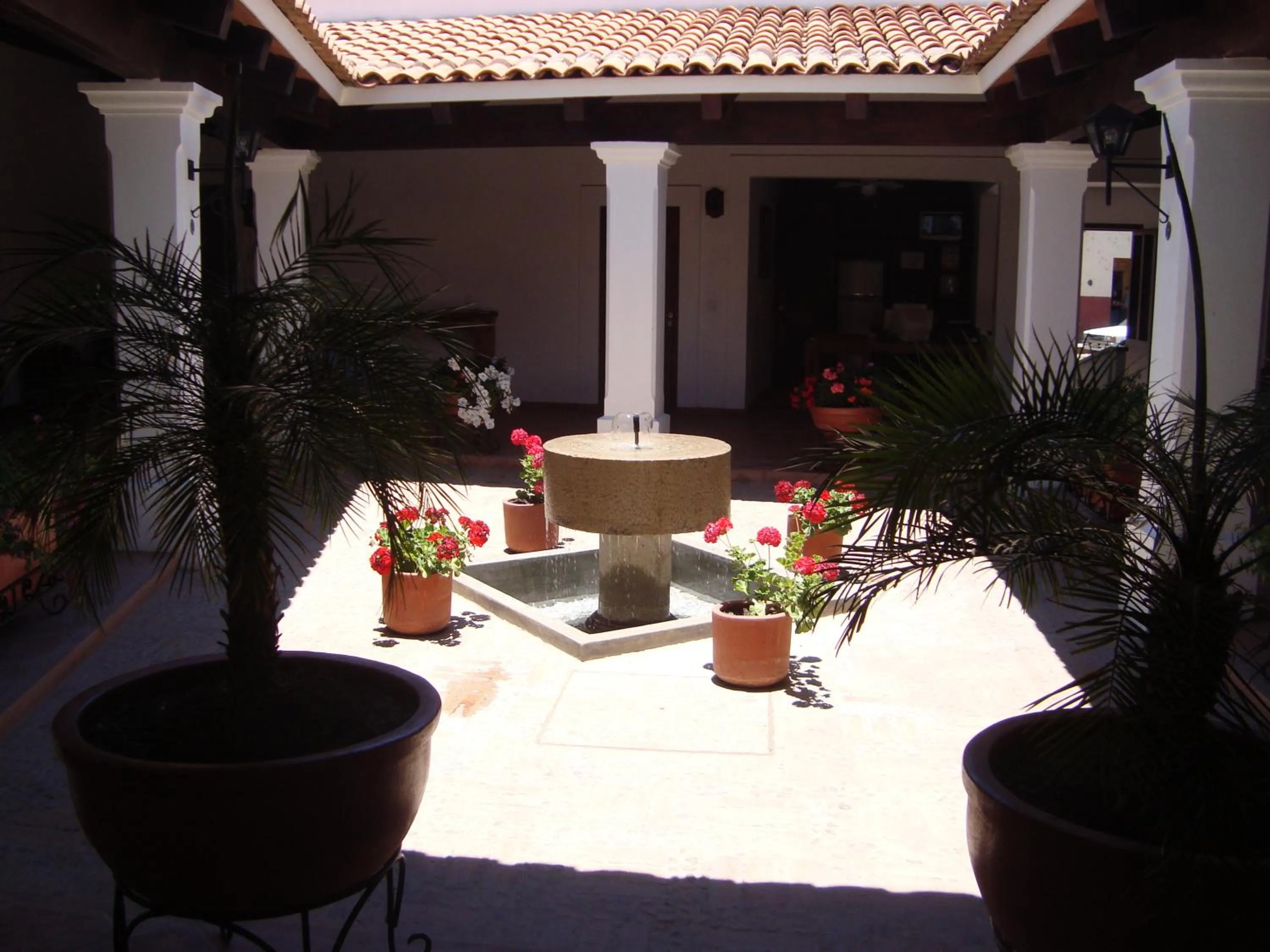 Area and facilities in Hotel Posada Santa Rita