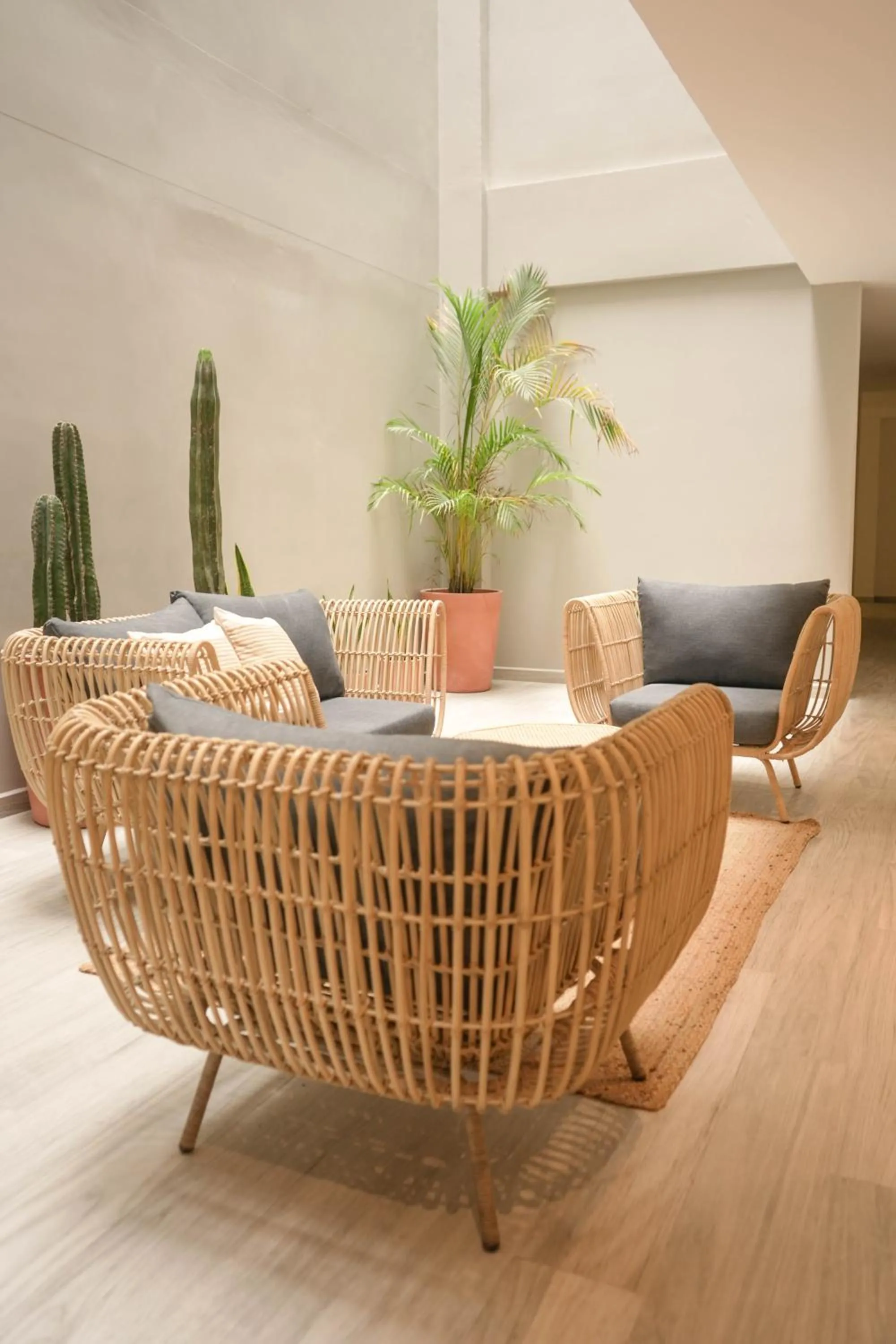 Macondo Quinta Avenida Residences