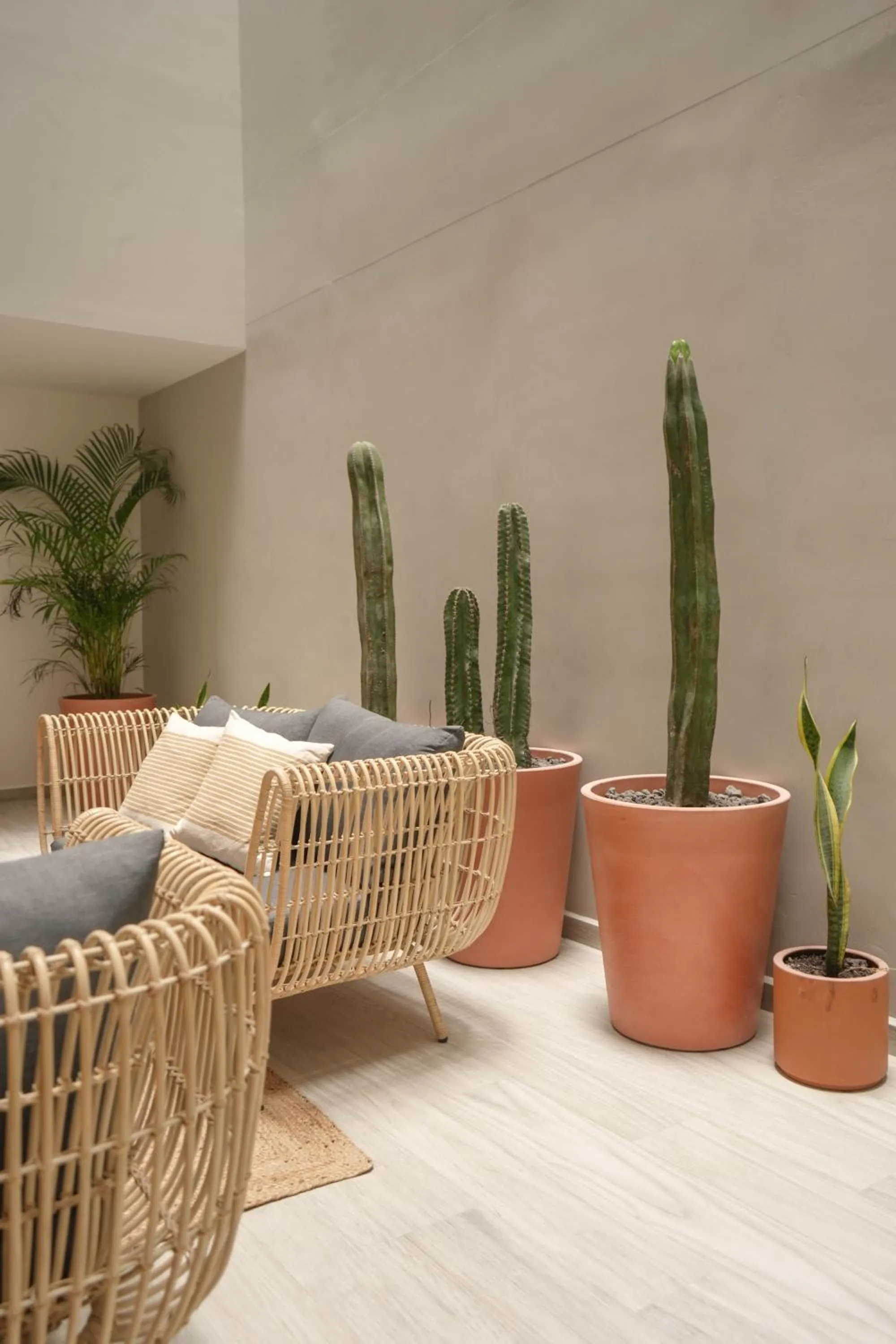 Macondo Quinta Avenida Residences