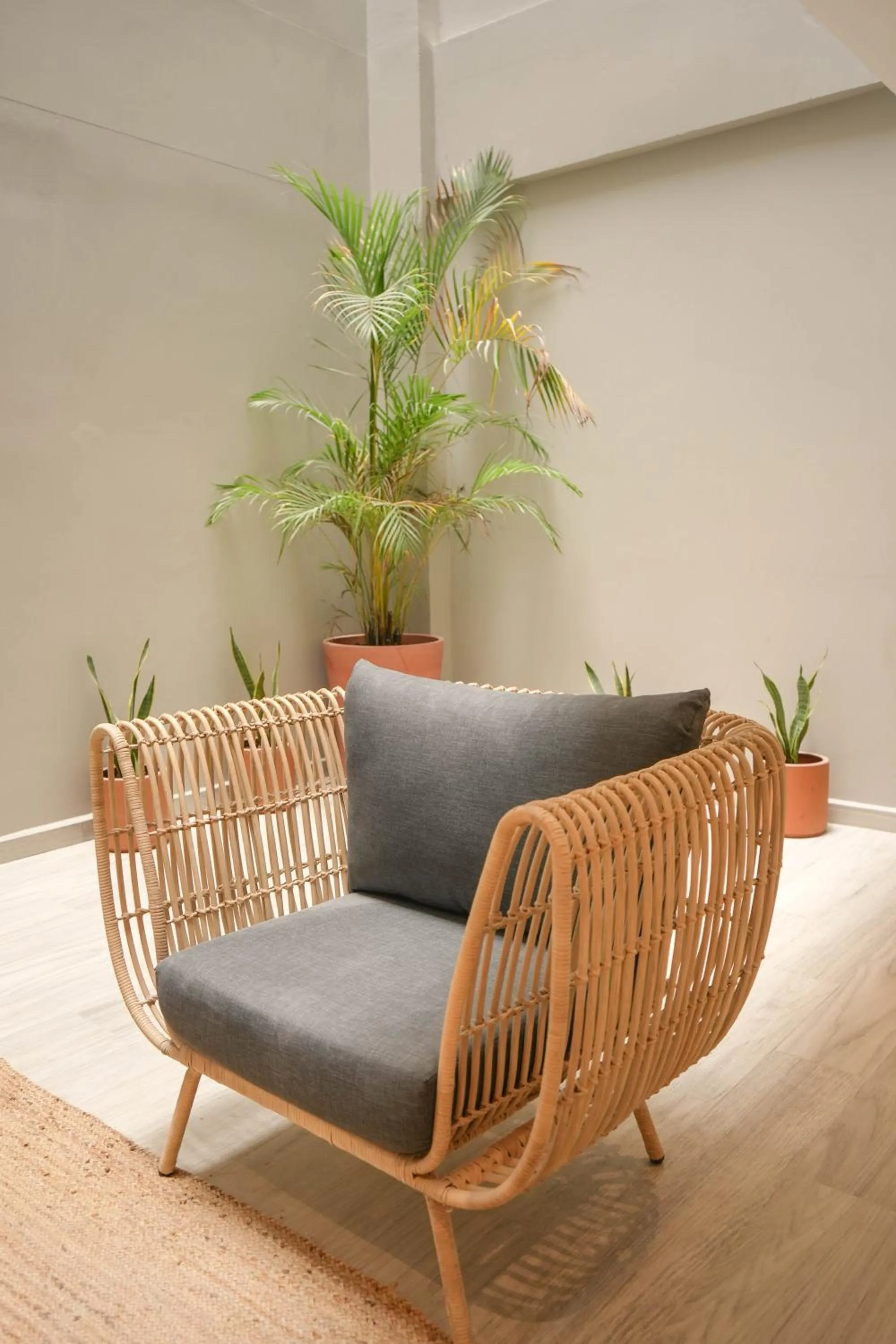 Macondo Quinta Avenida Residences