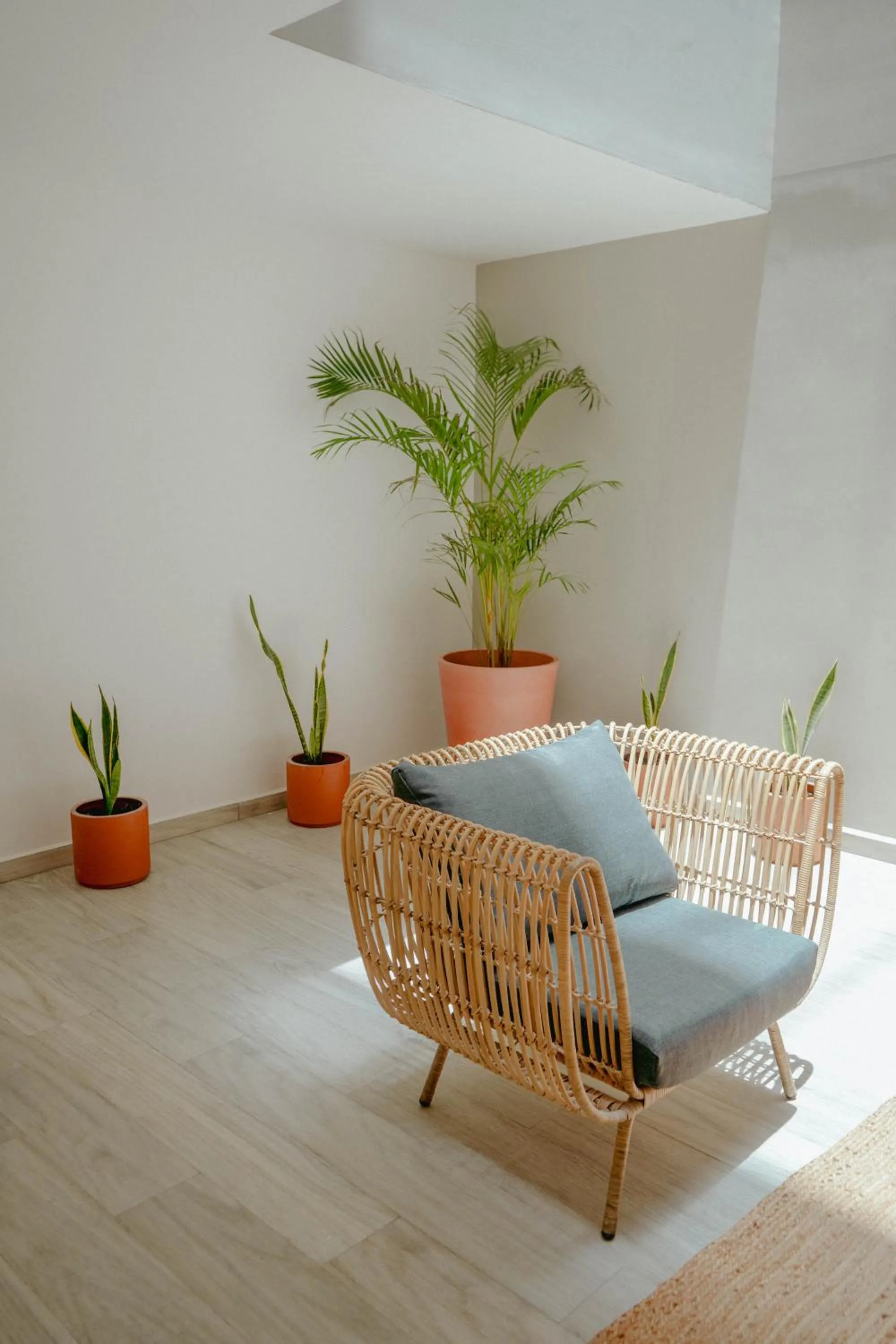 Macondo Quinta Avenida Residences