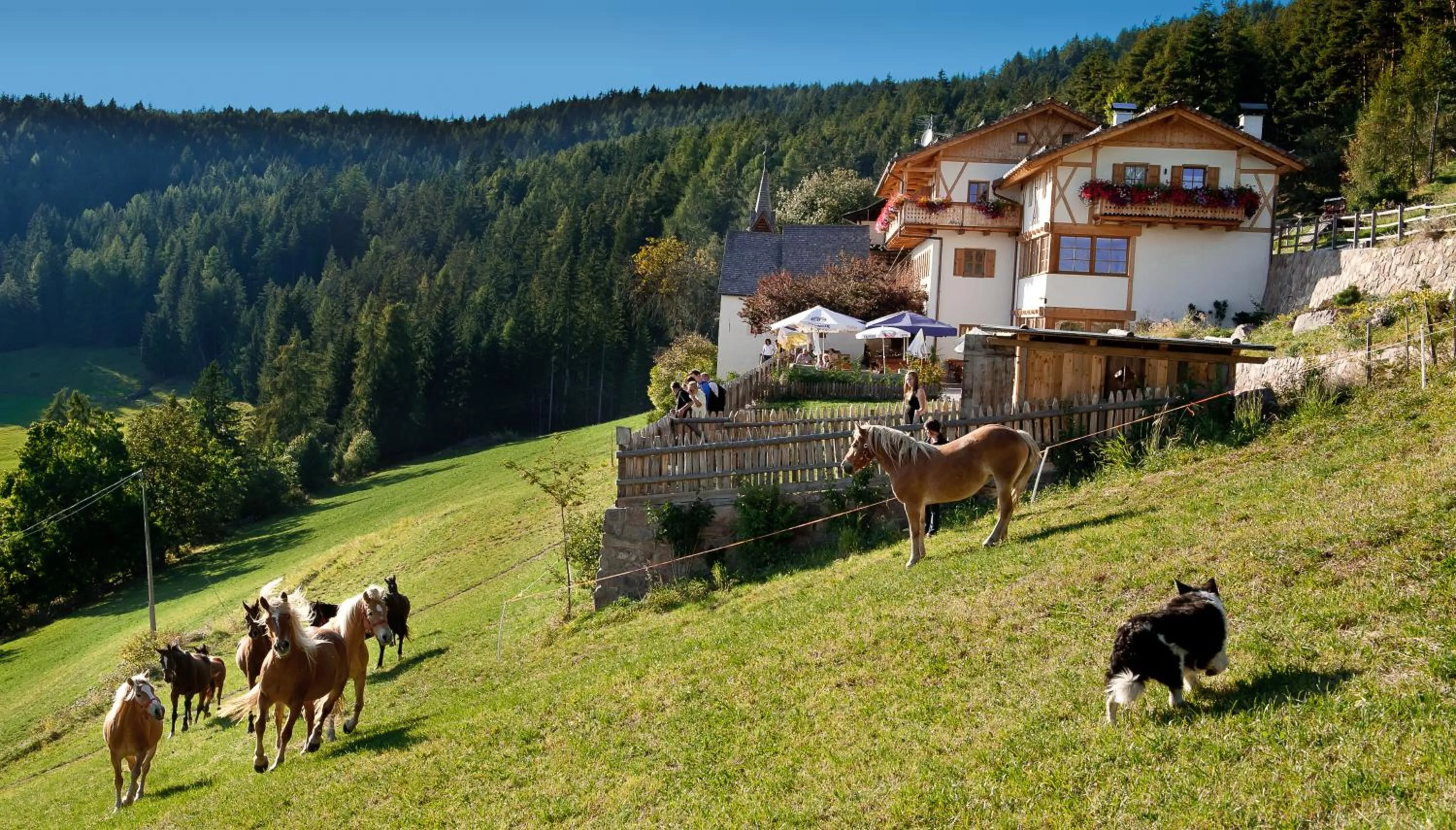 Property building in Gasthaus Bad Siess